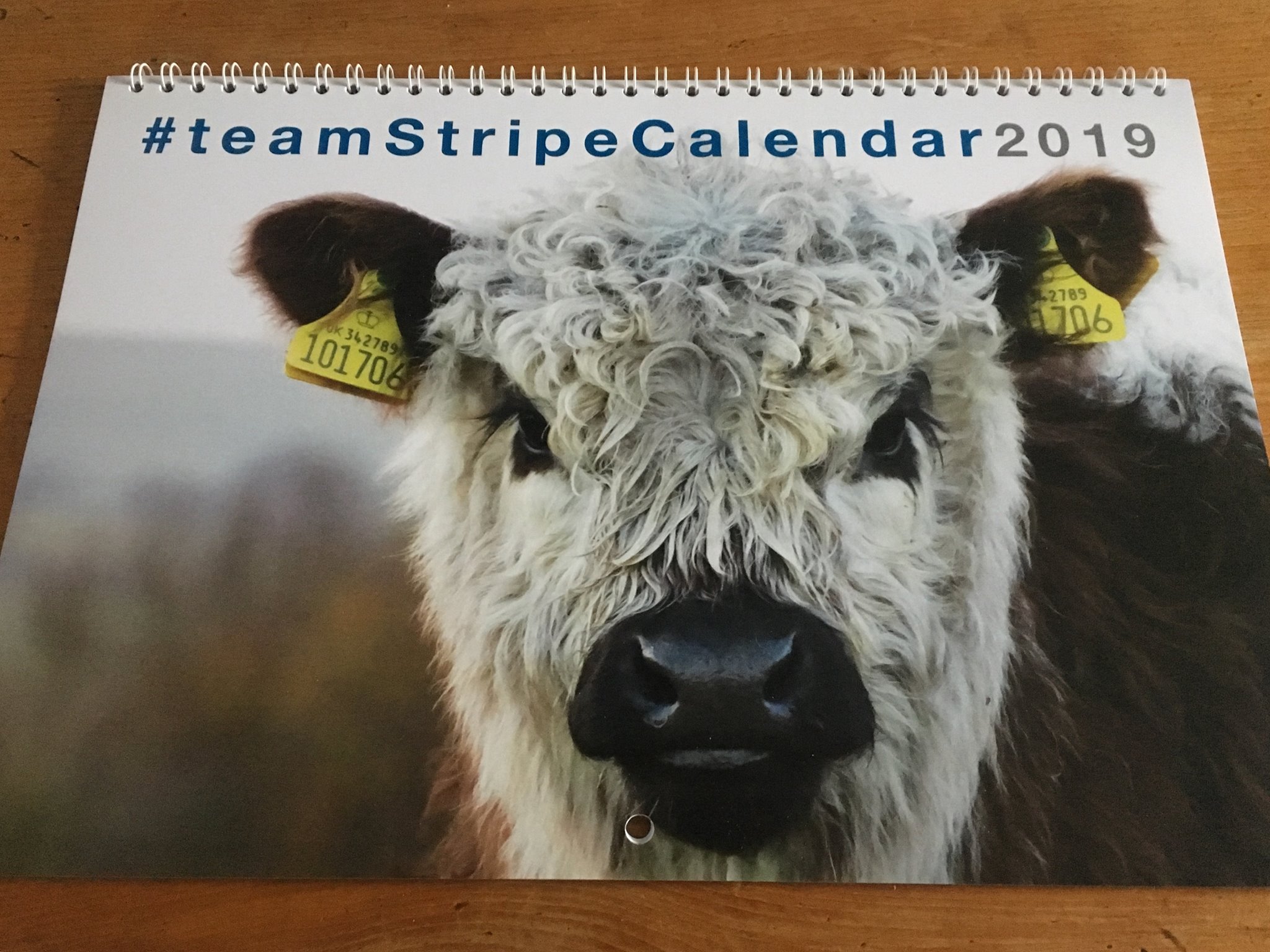 teamstripecalendar.jpg