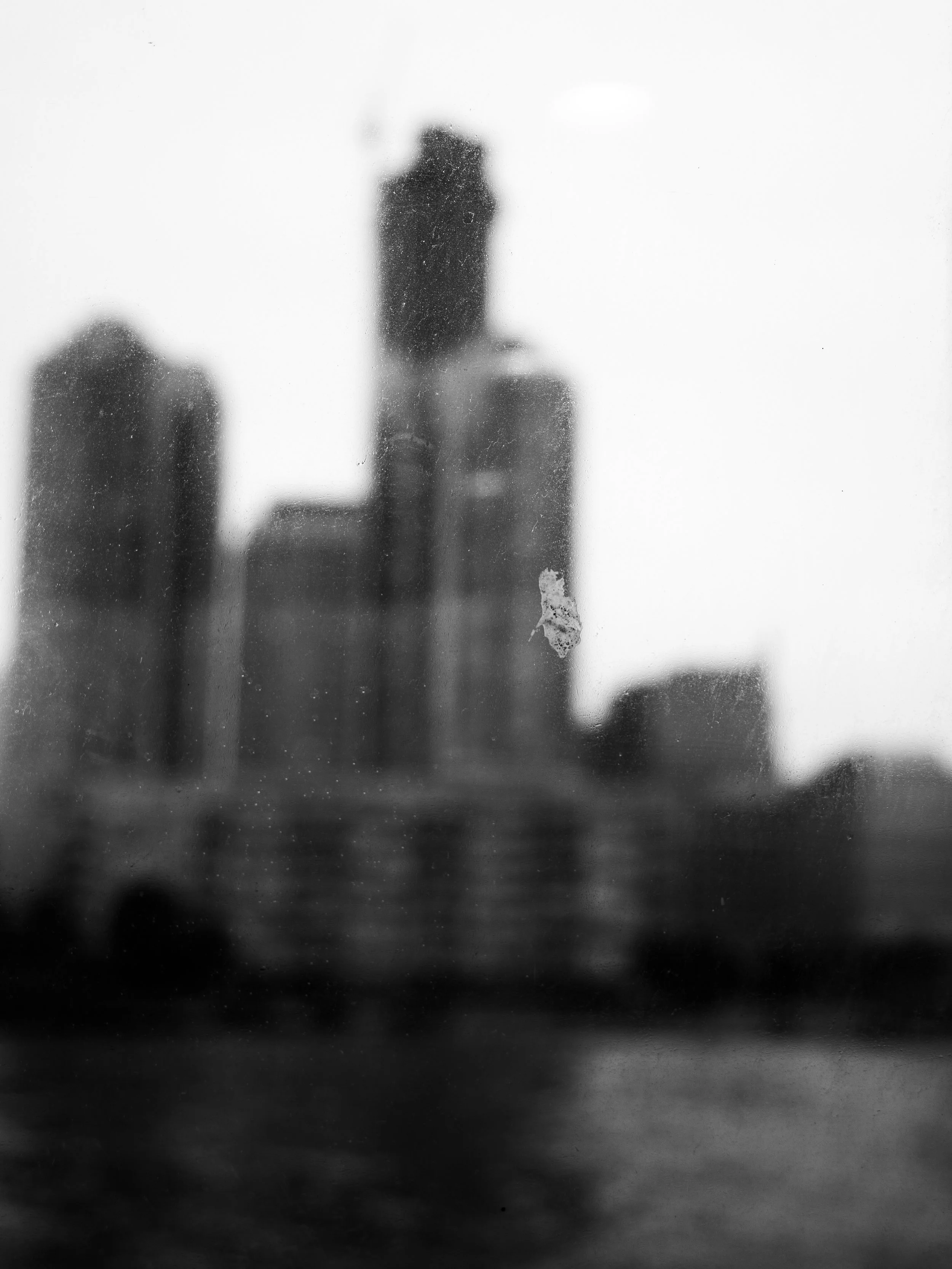 Website-8.JPG