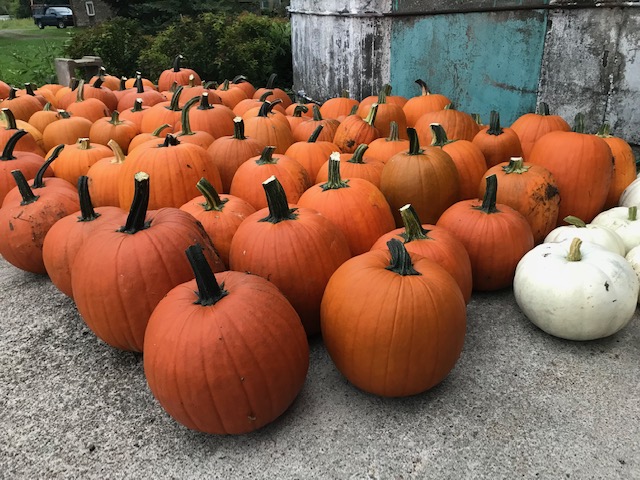 2nd Annual Autumn Fair Day!