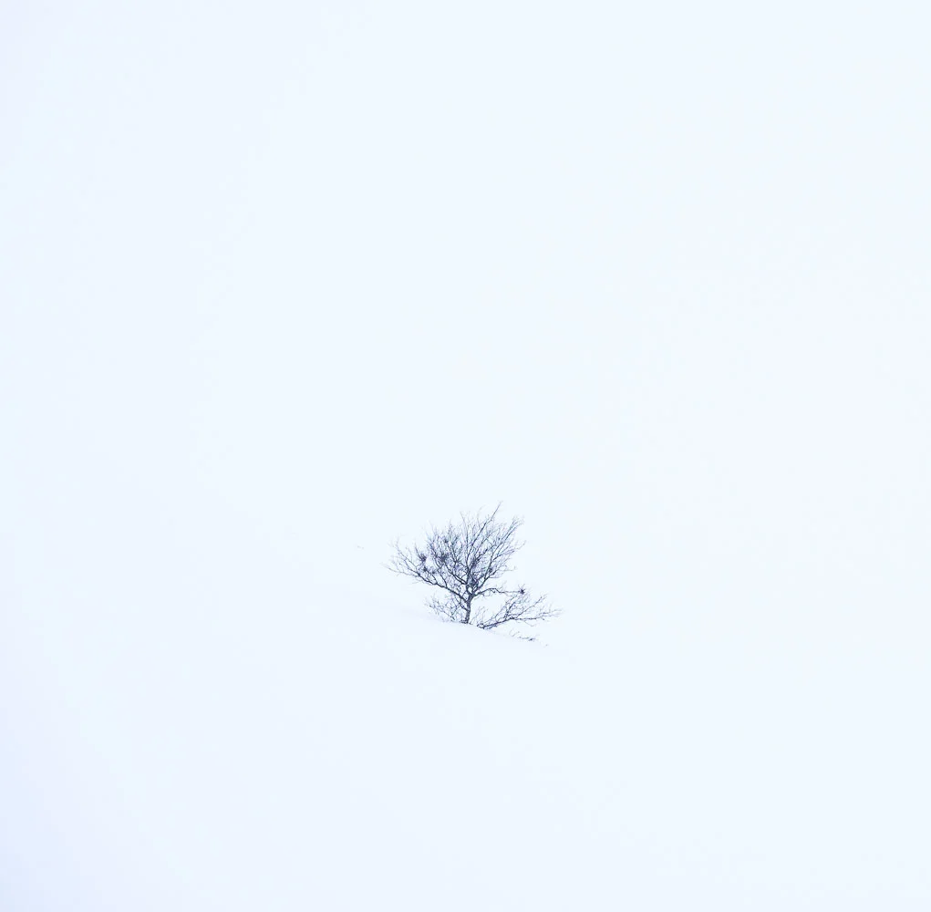 Sennalandet - Alta - Finnmark