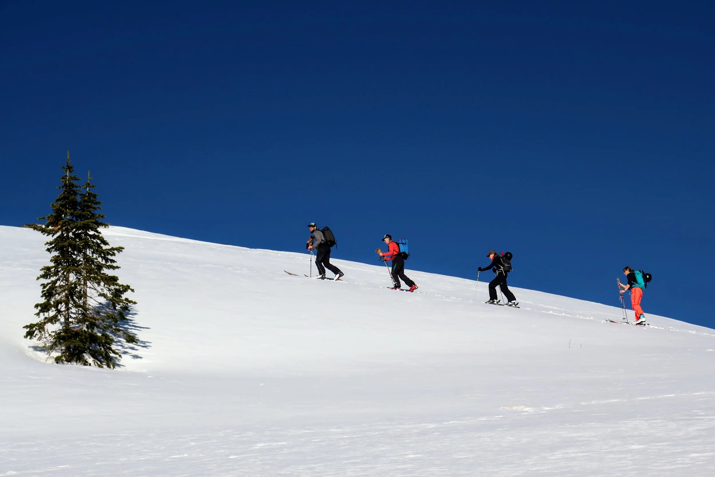 We rent full backcountry setups- Skis, Splitboards, Skins, Beacons, Shovels and Probes!