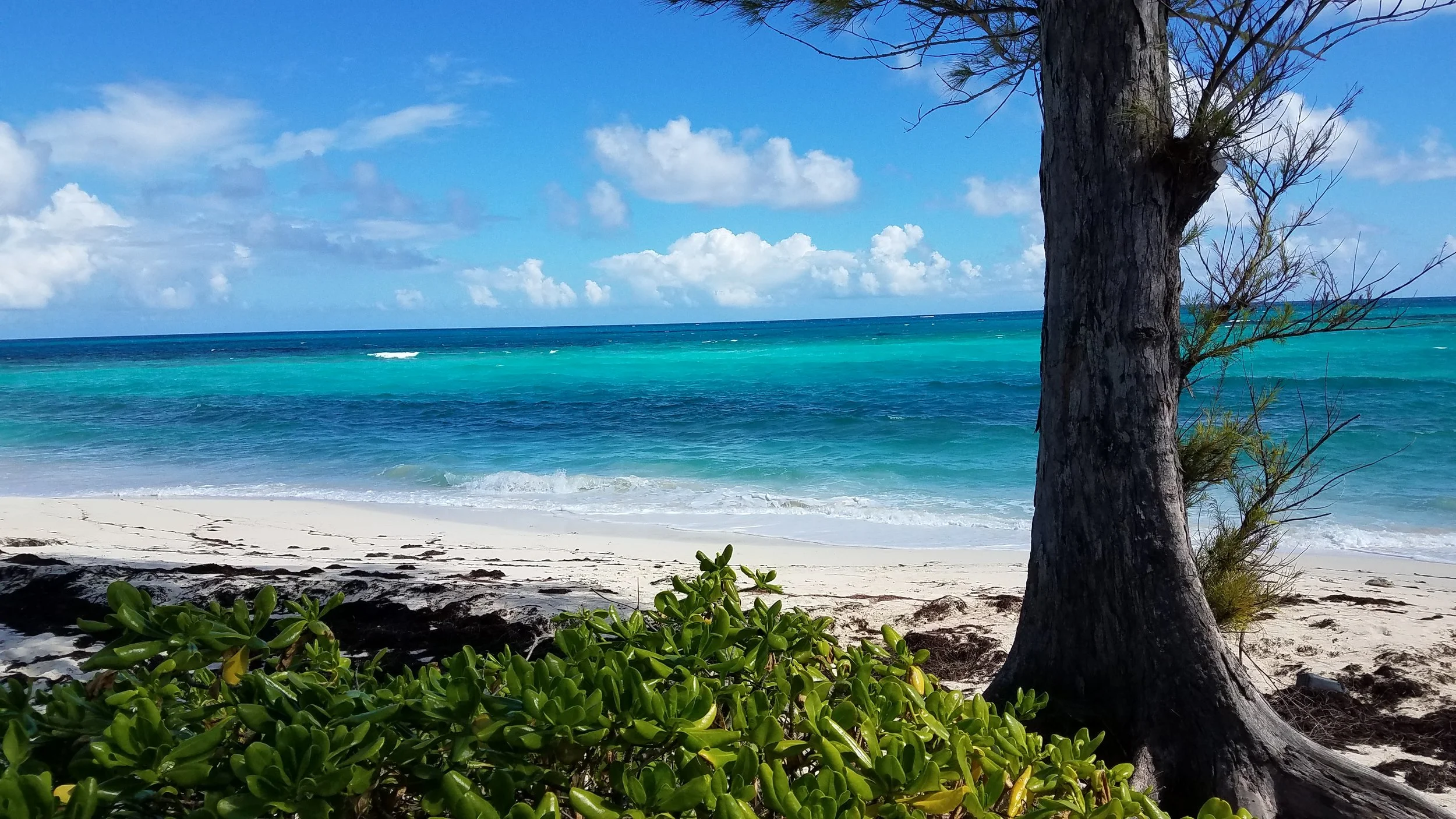 The beach where the bottle landed at Green Turtle Cay