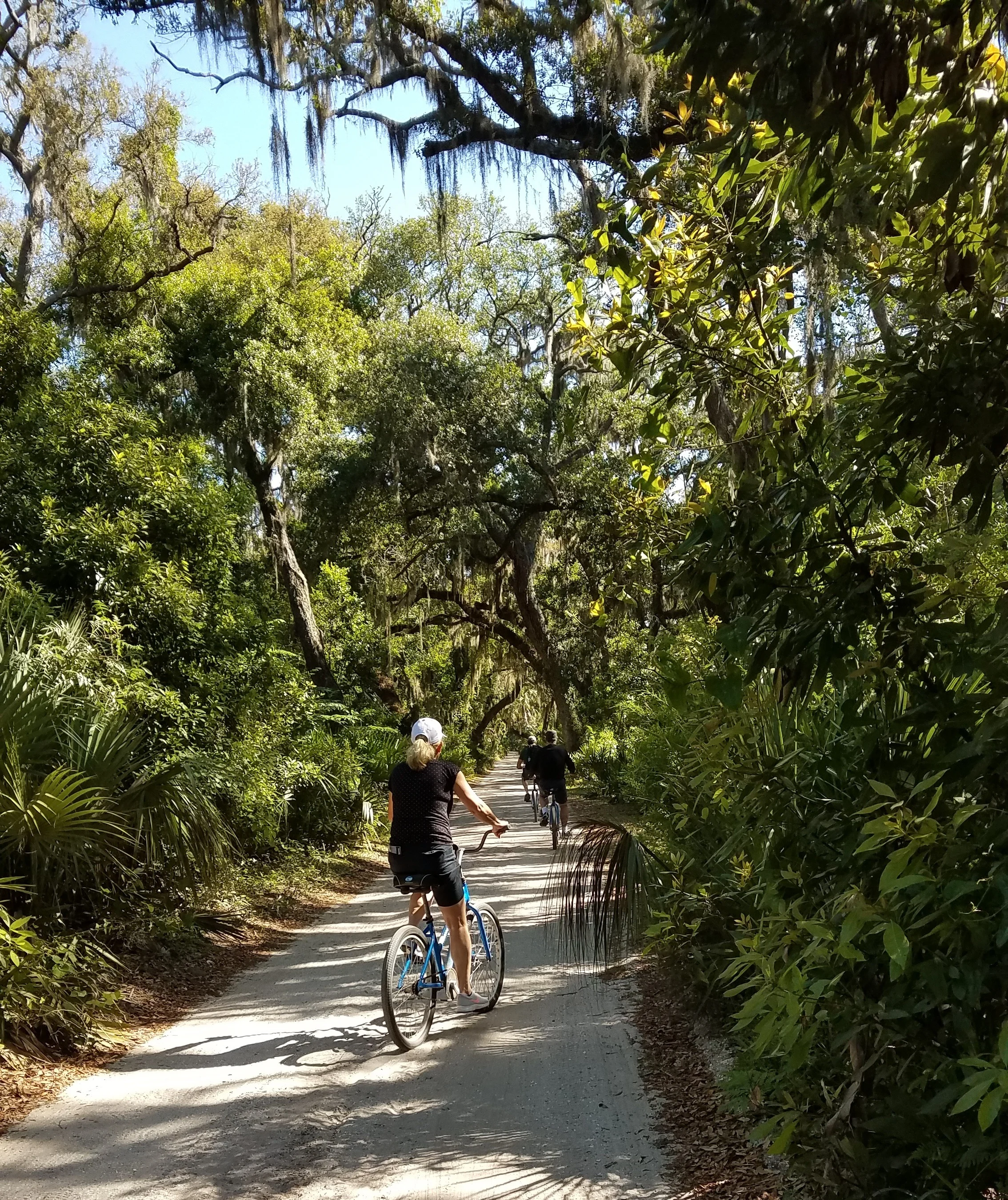 Larry, Casey, Joan on their bikes heading out for a little bike ride…