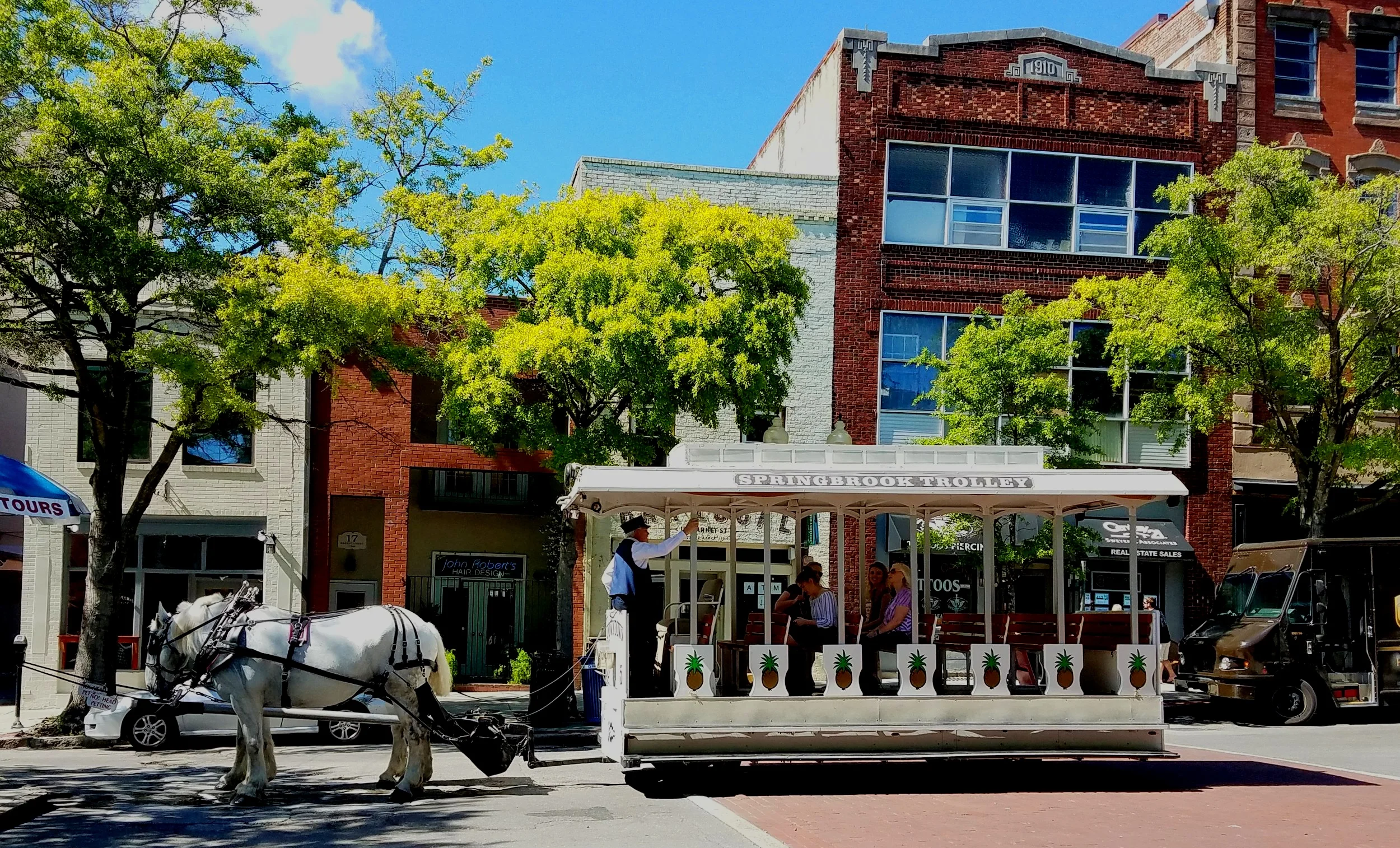 Sweet southern horse trolley rides in Wilmington NC…look at those pineapples!