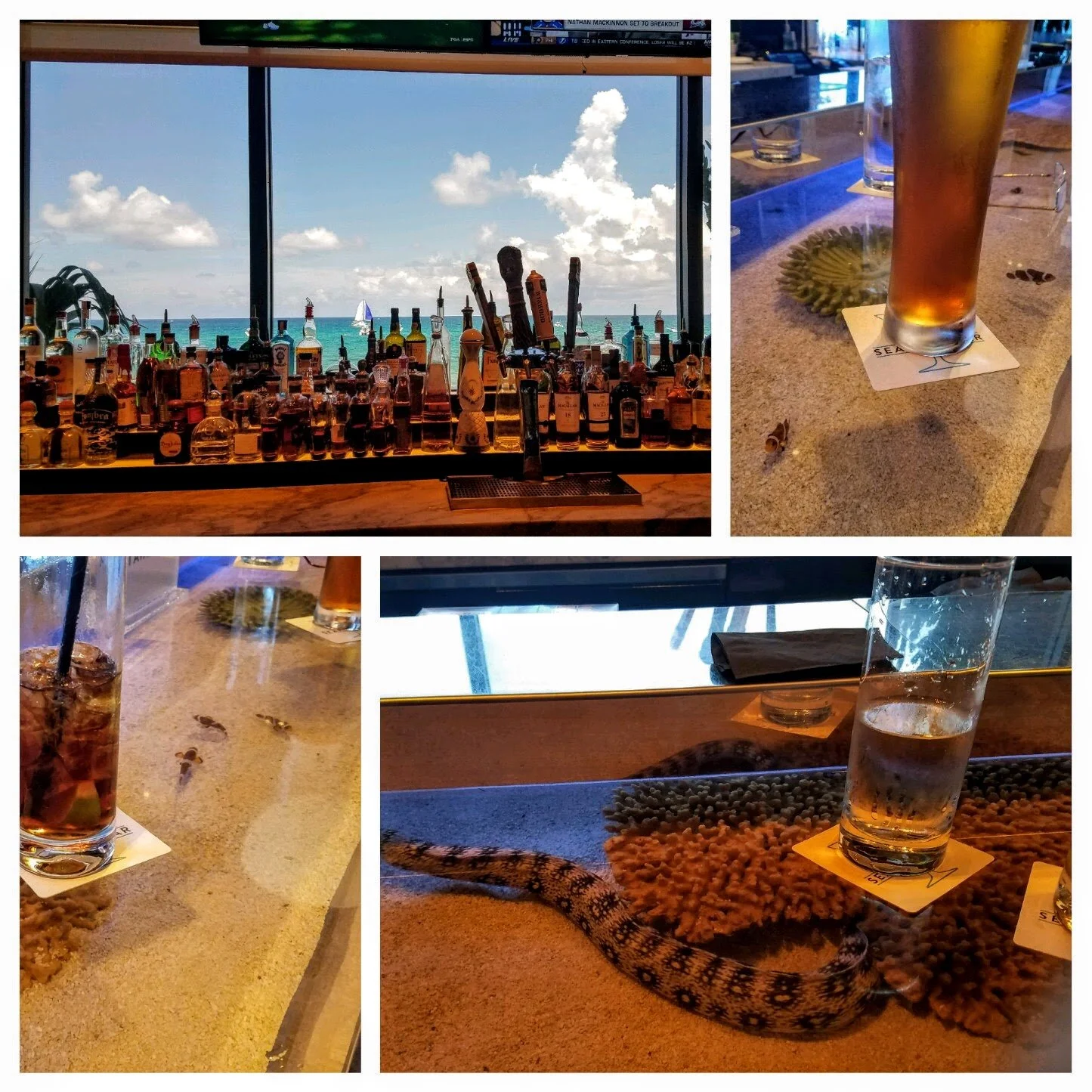 Weekend at West Palm Beach, FL — INDEPENDENCE CHRONICLES