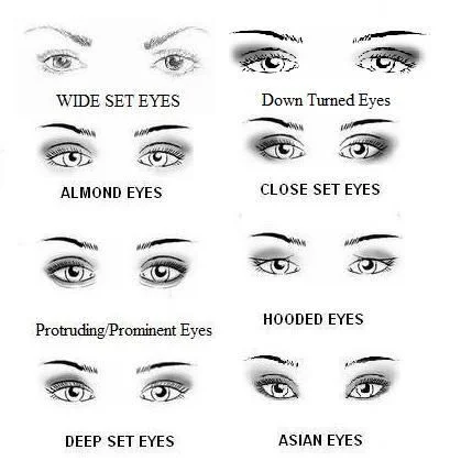 eye shapes.jpg