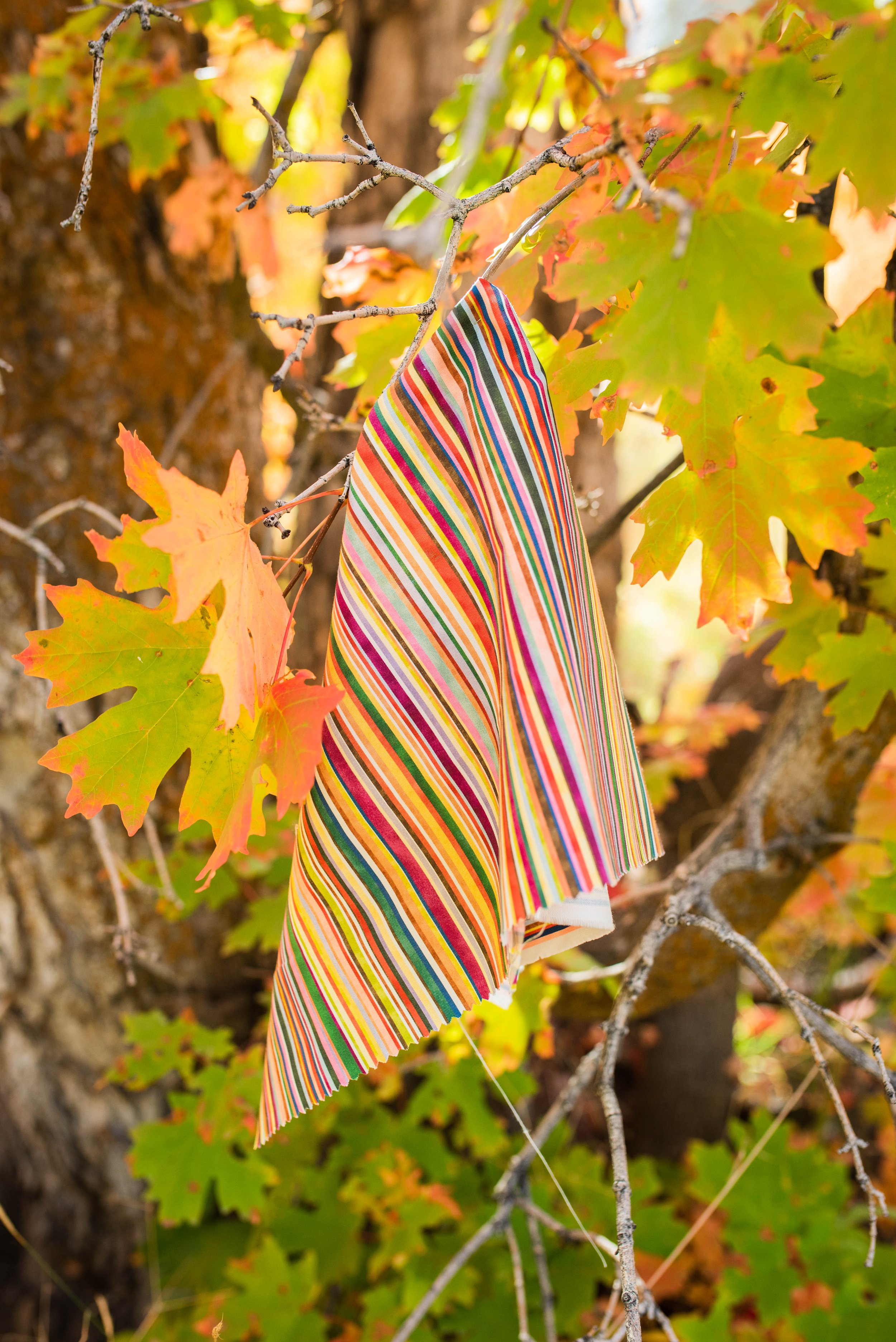 DSC_8167.jpg