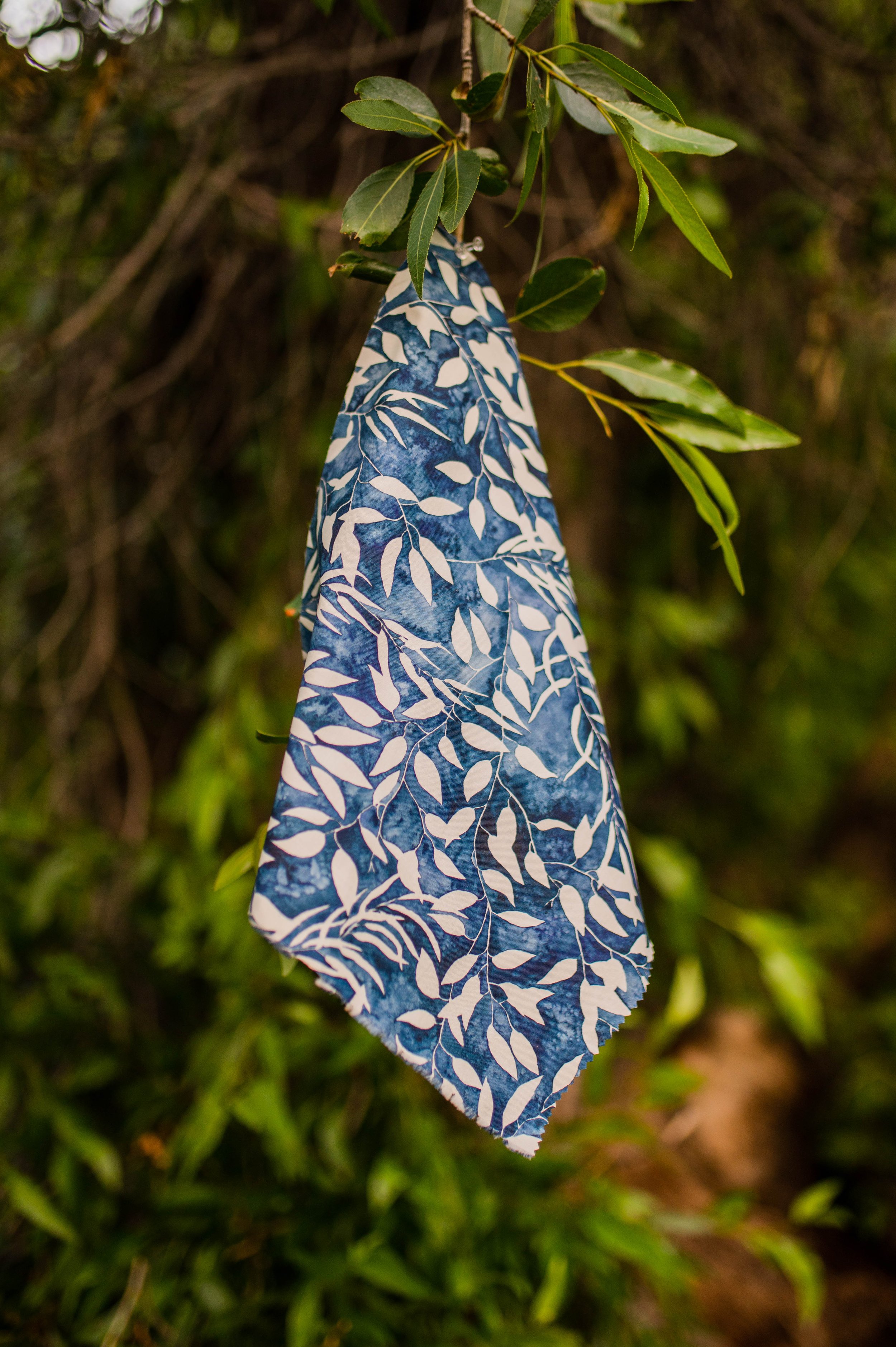 DSC_3761.jpg