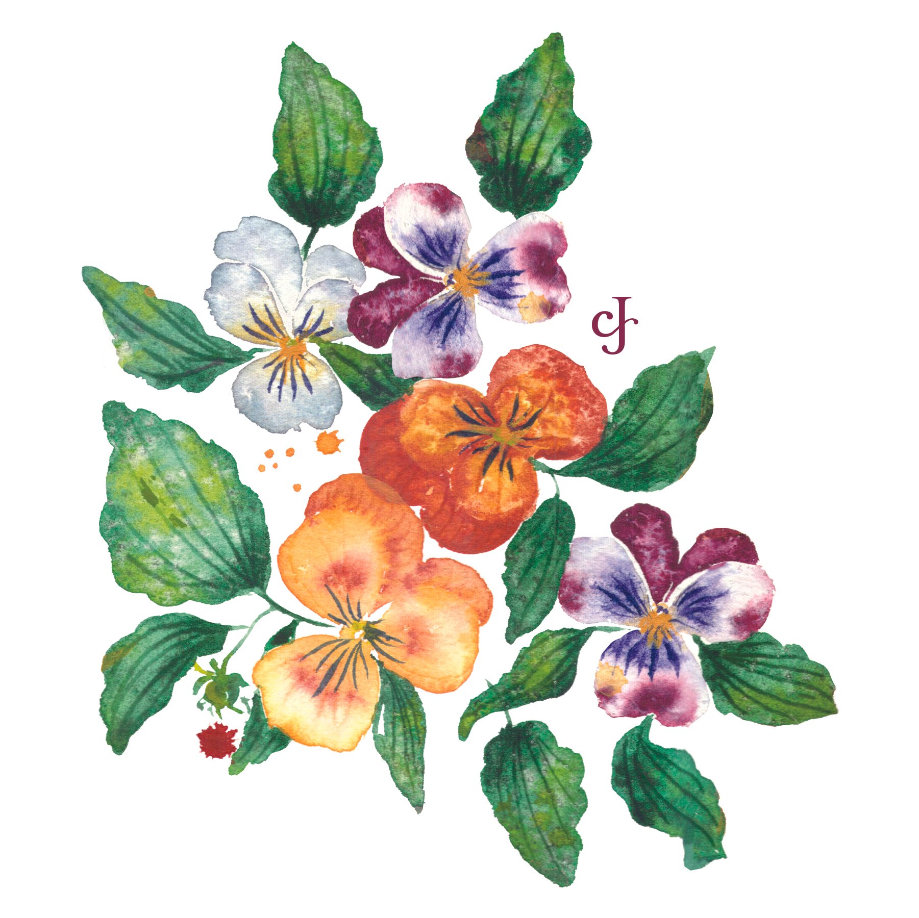 Floribunda Pansies Sticker.jpg