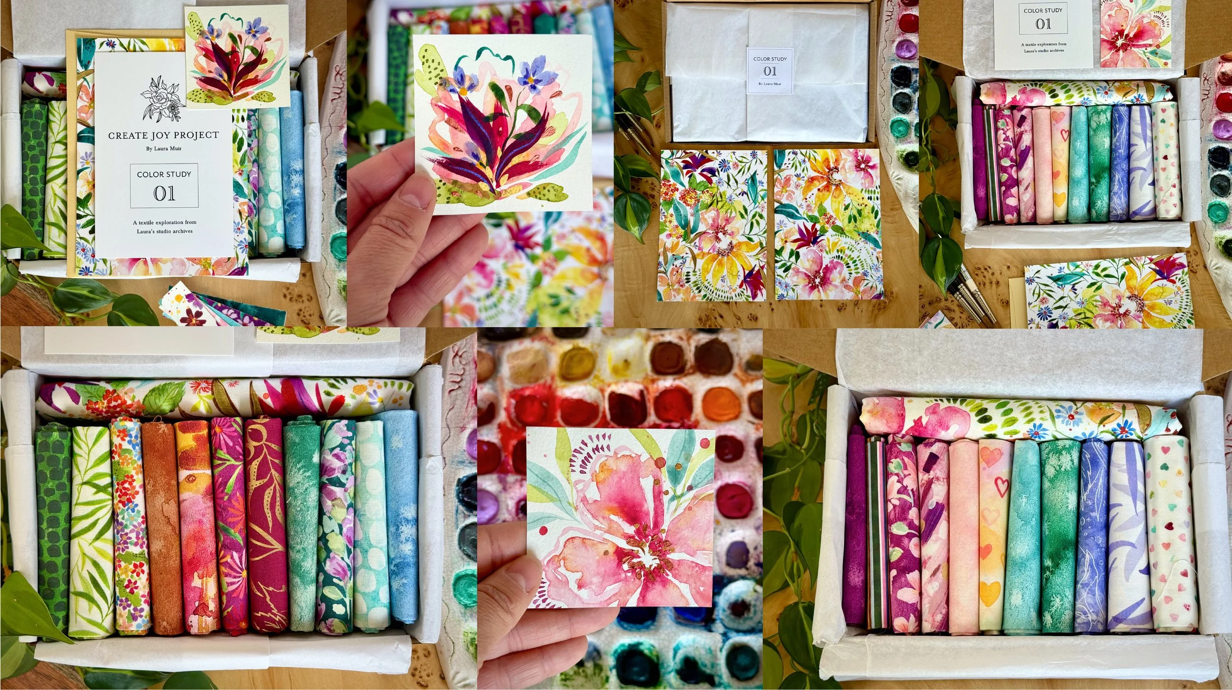 Color Study Header Image.jpg