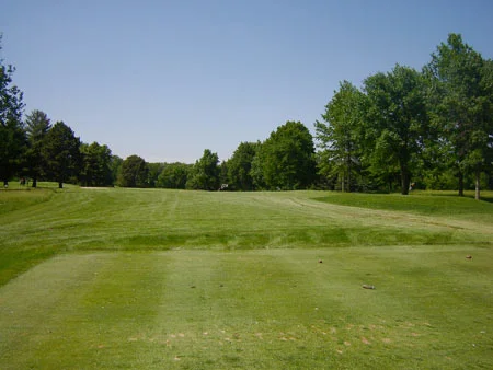 Hole #8