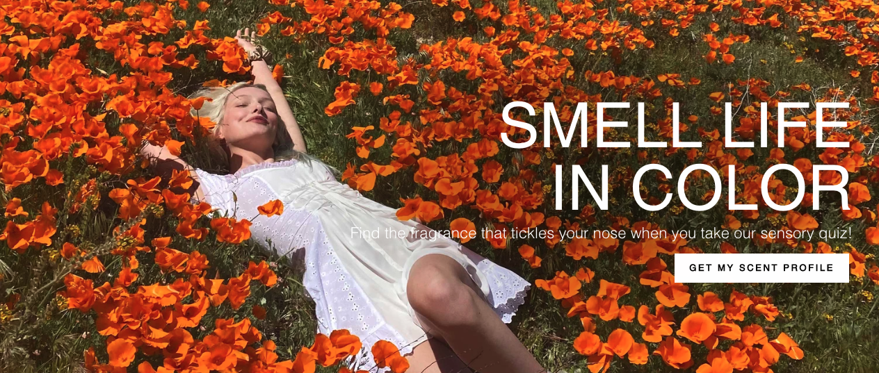 Screen Shot 2020-09-26 at 12.09.16 PM.png