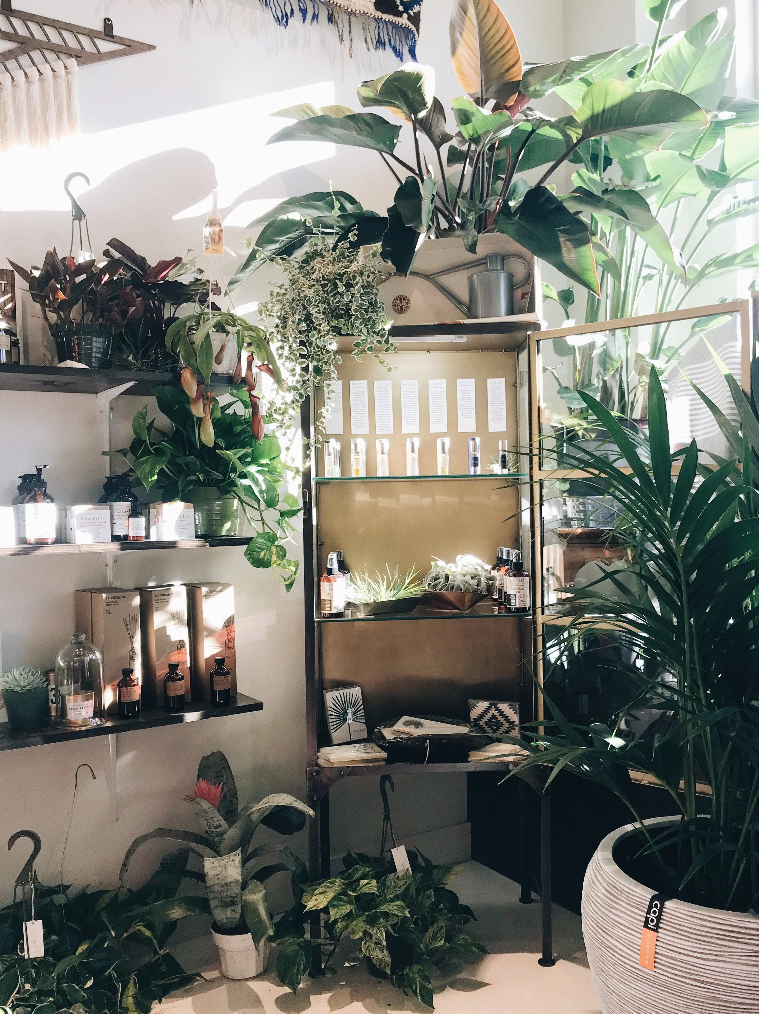 vsco-photo-2-5.jpg
