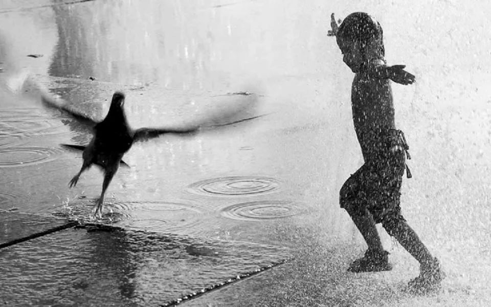 © Vladimir Romantsov