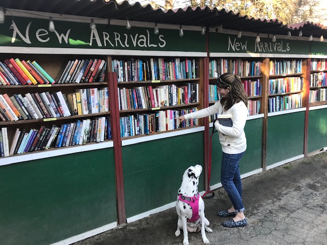At the Book Barn with my pup