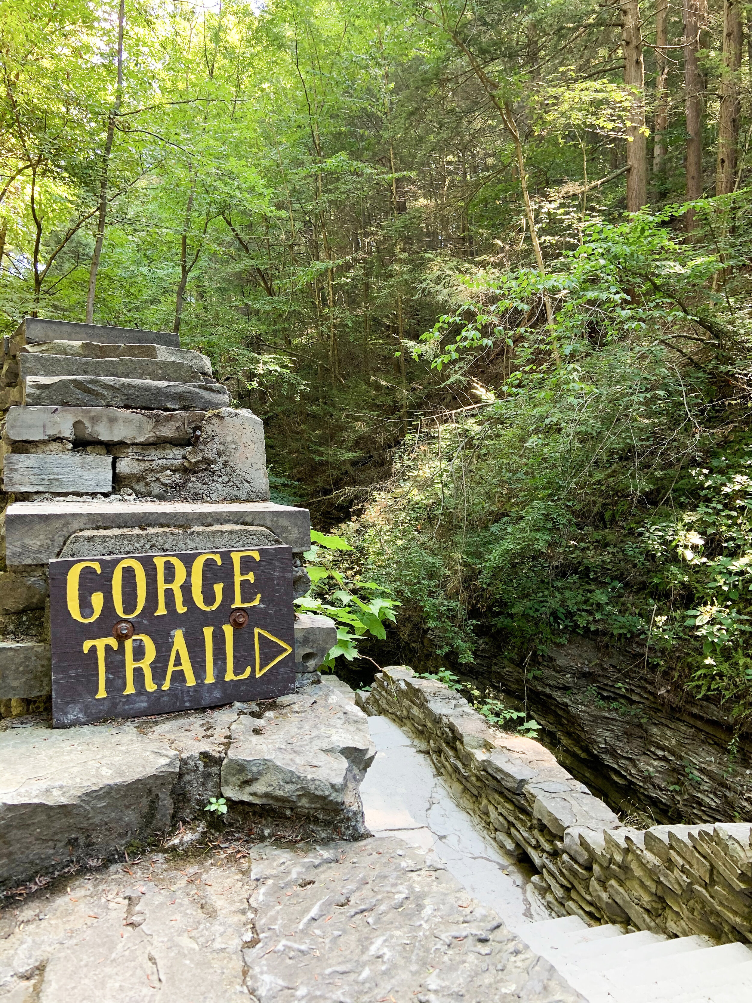 The Gorge Trail in Watkins Glen State Park.