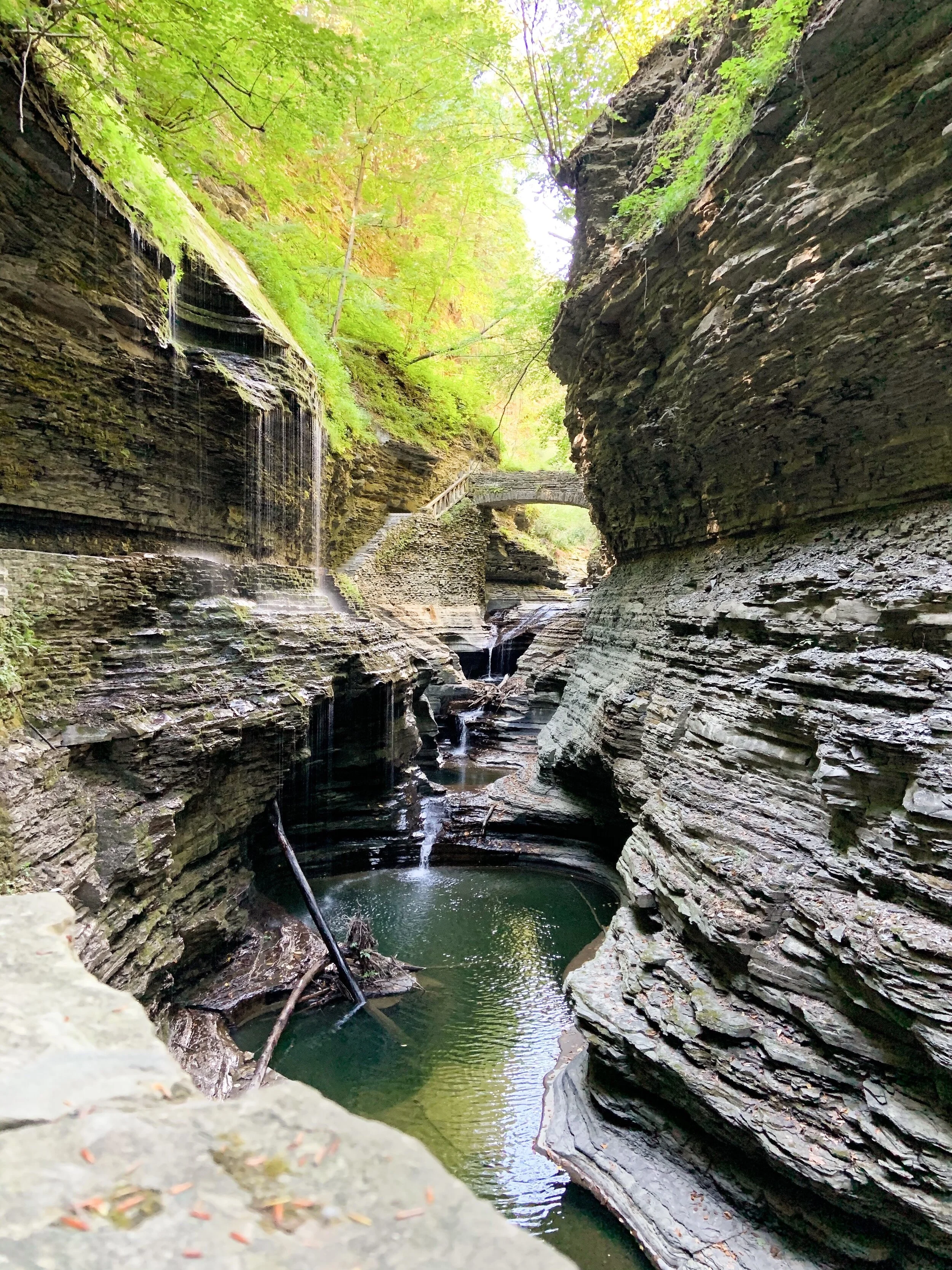 The “Rainbow Falls” of Watkins Glen State Park.