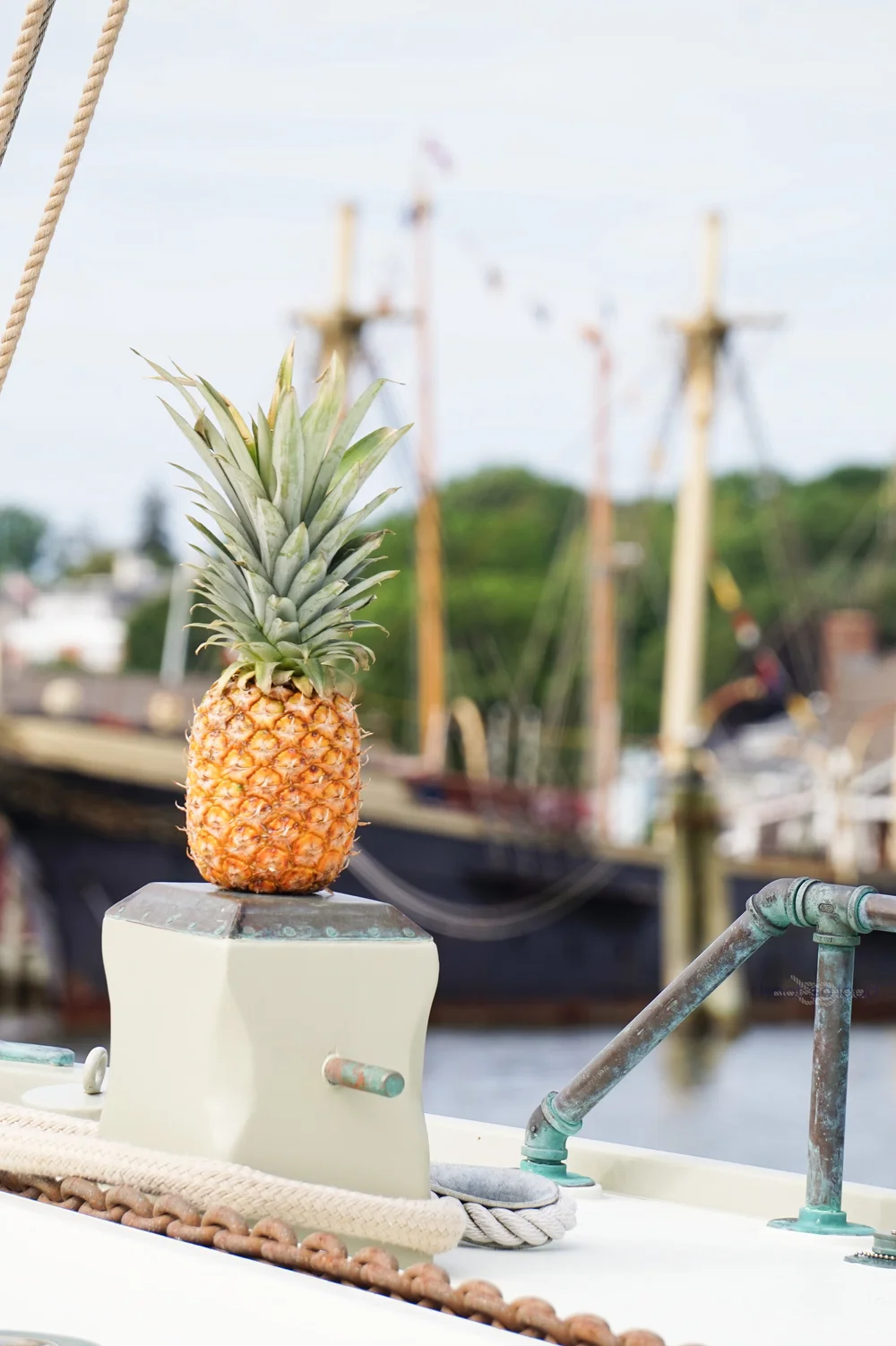 PINEAPPLE.jpg