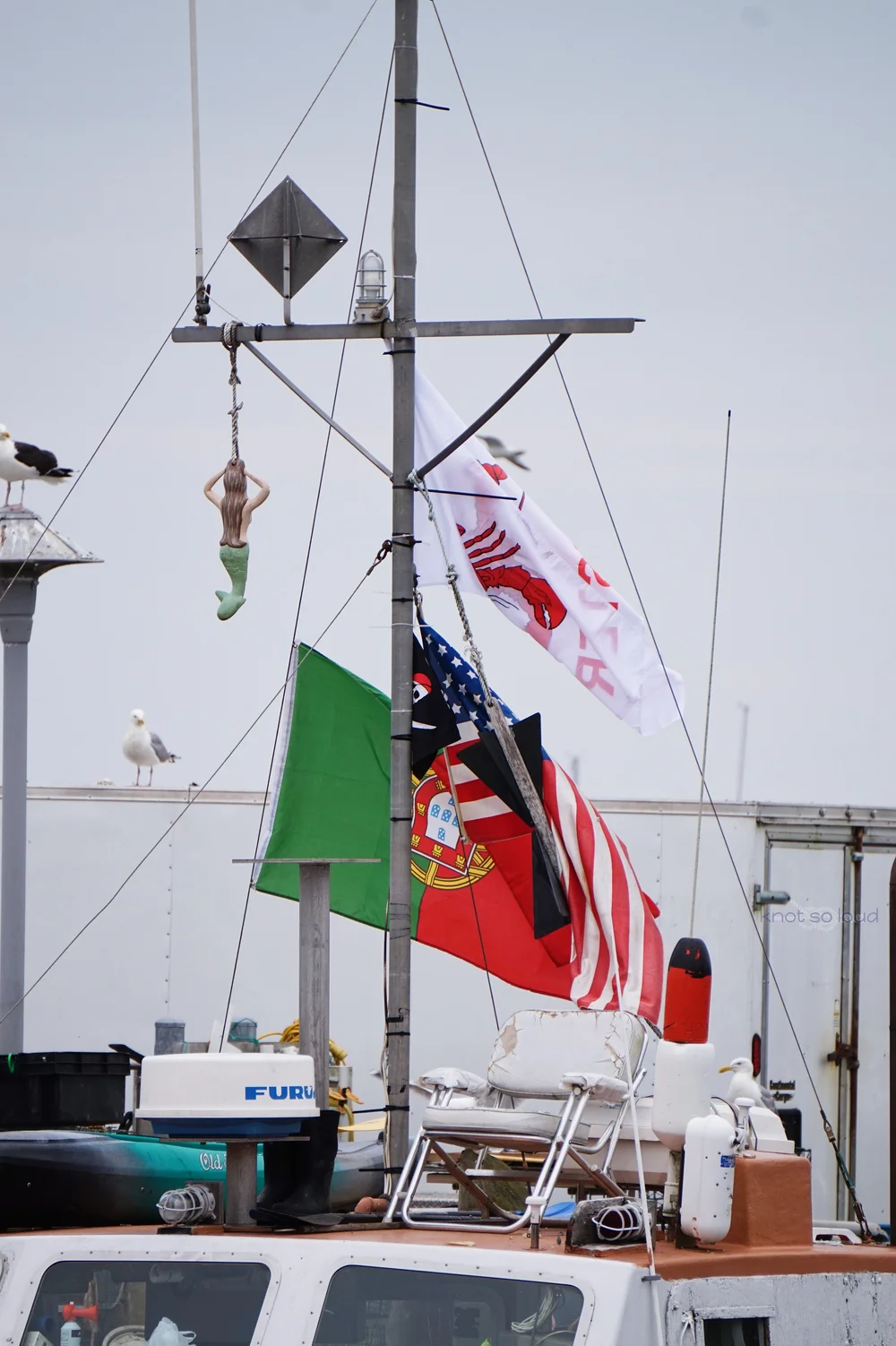 MAST.jpg