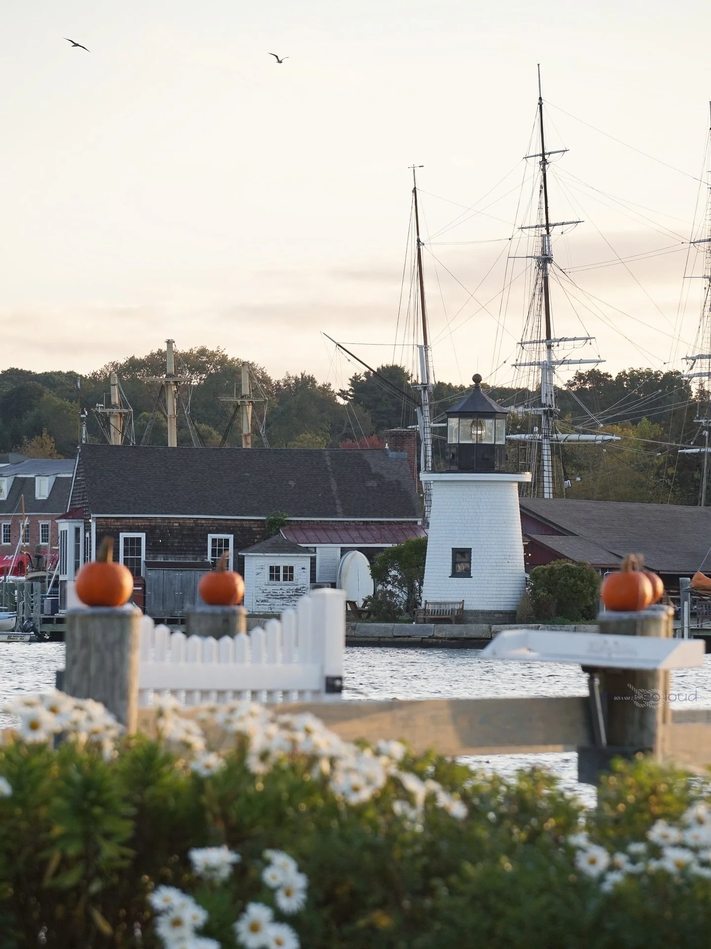 A crisp coastal morning walk on October 1st brought some pumpkins, salty air, sunrise glow and a photogenic lighthouse. 🎃🌾