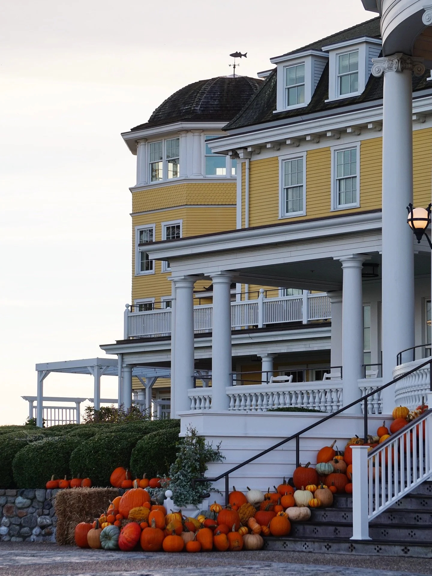 @oceanhouseri looking gourd-geous 🎃