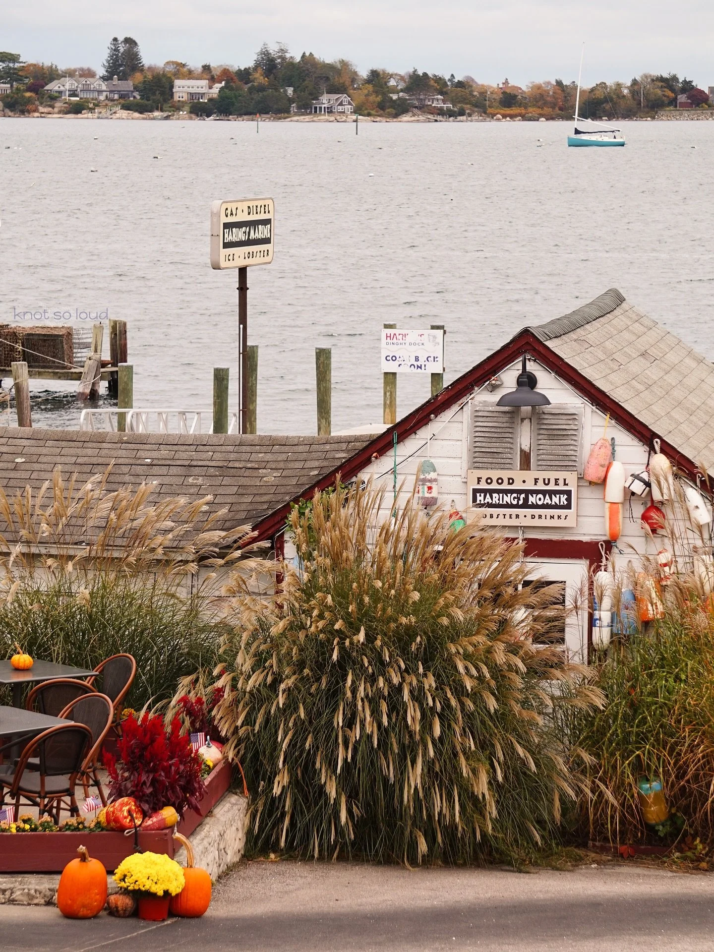 It might be end of the season, but the sea never sleeps! Welcome November on the Connecticut coast. 🌾