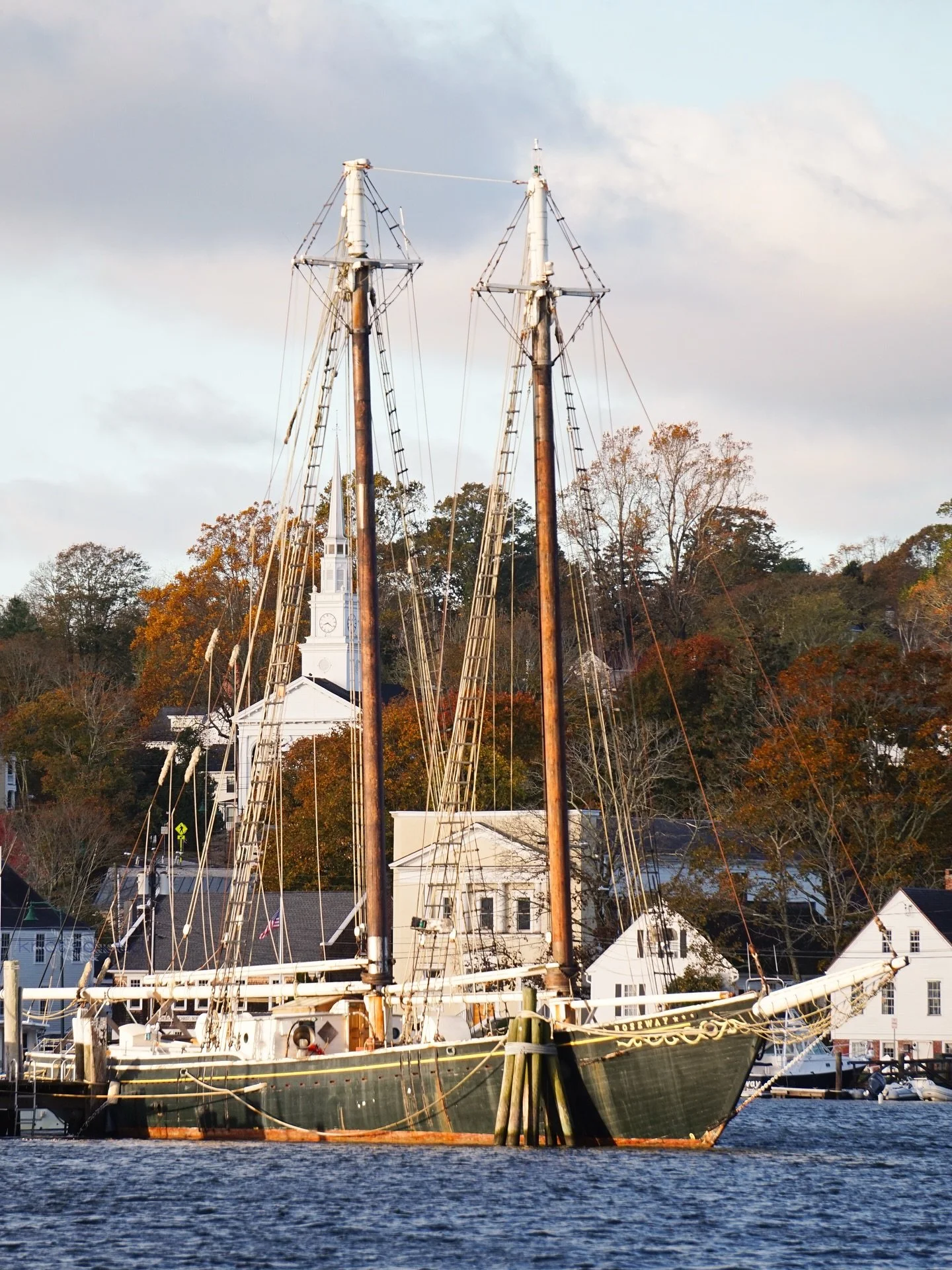 November looks good on Mystic. 🧡