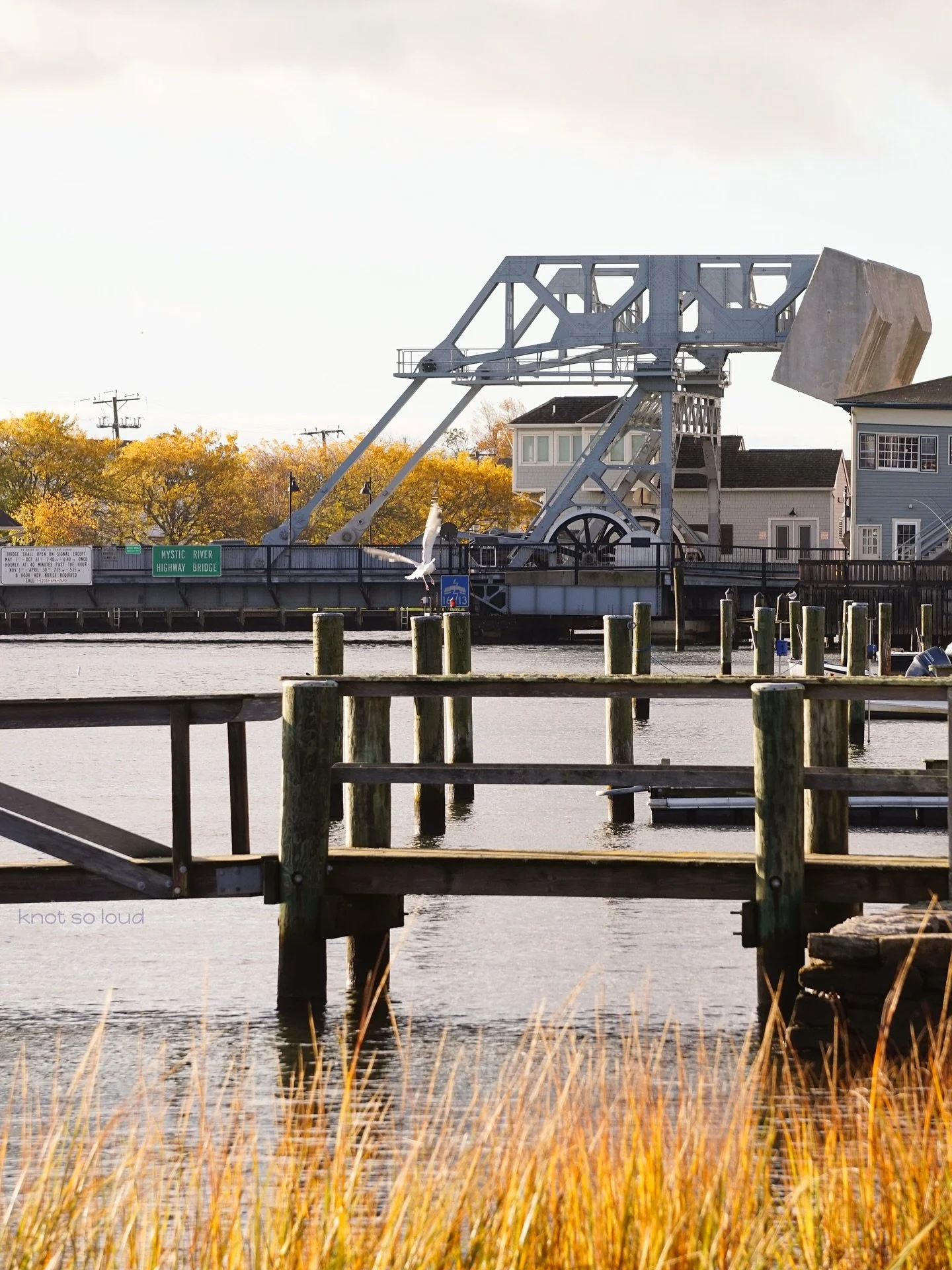 Even the brightest light takes time to rekindle. ✨