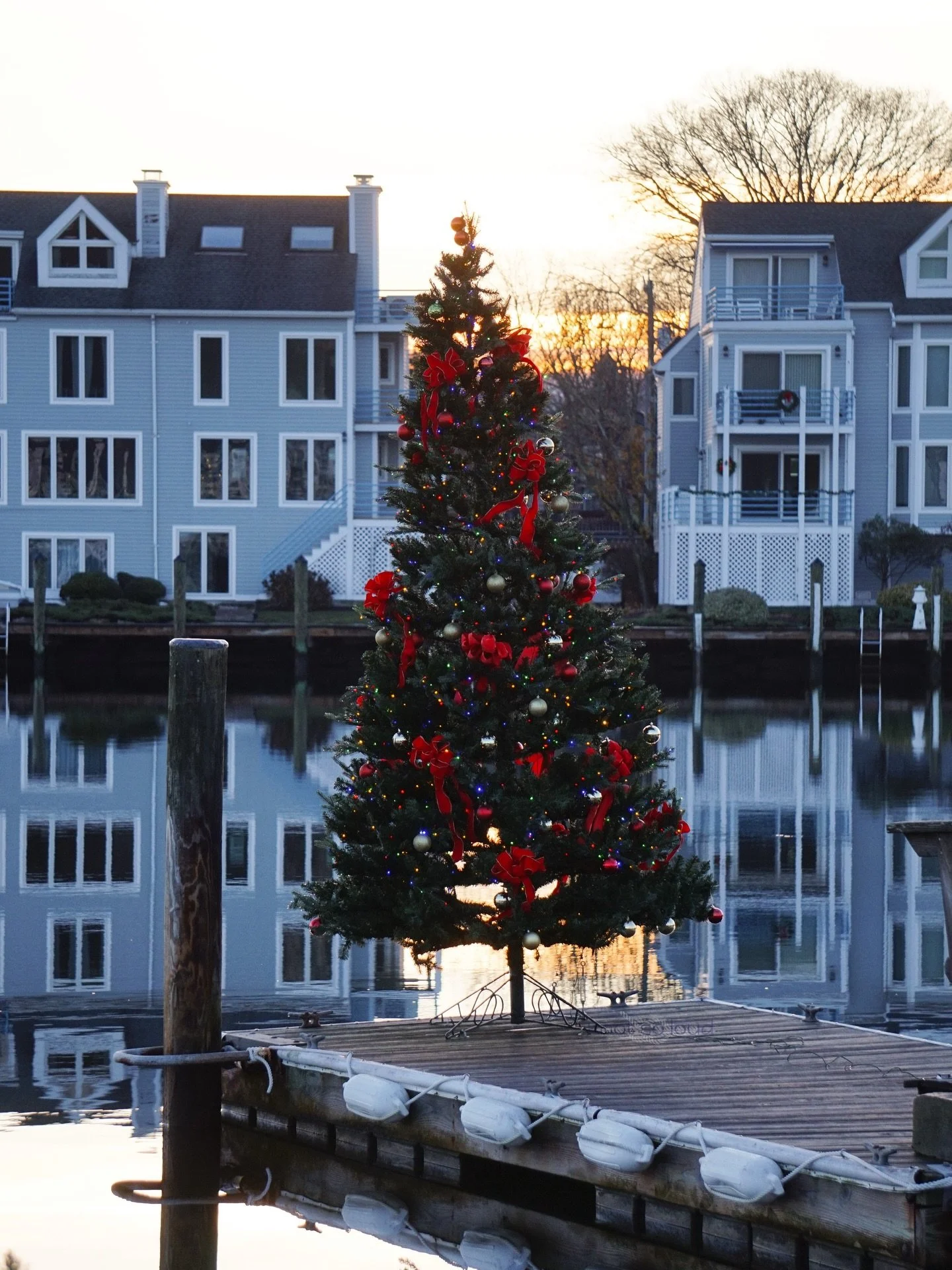 Happy December! 🎄✨ Thrilled to be back capturing my favorite tradition &mdash; dock trees! 😍⚓️