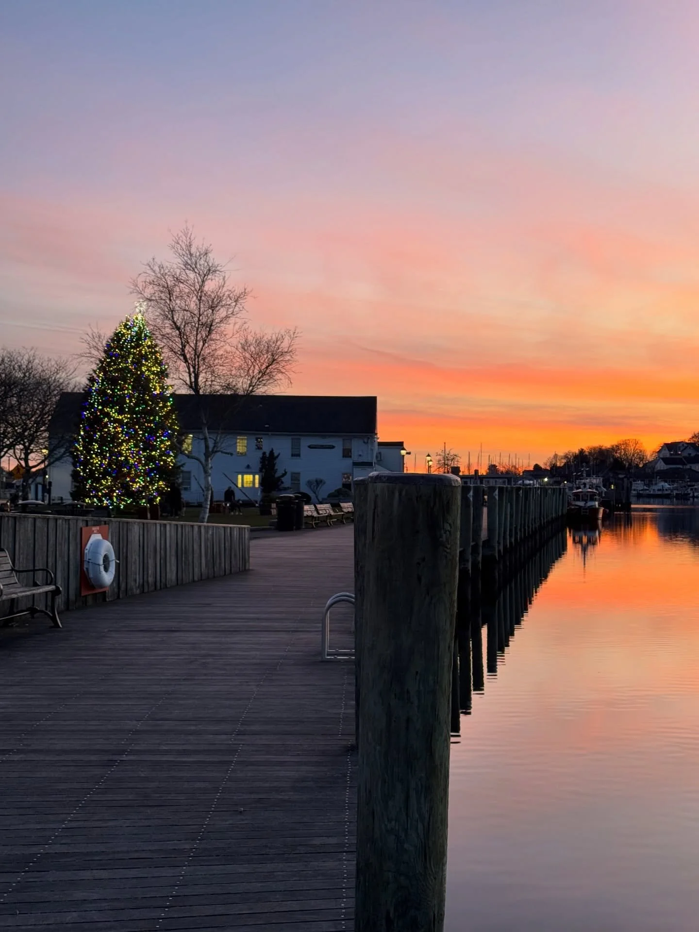When the sky puts on a show this magical, it gets a permanent spot on the feed. 🎄✨🌅