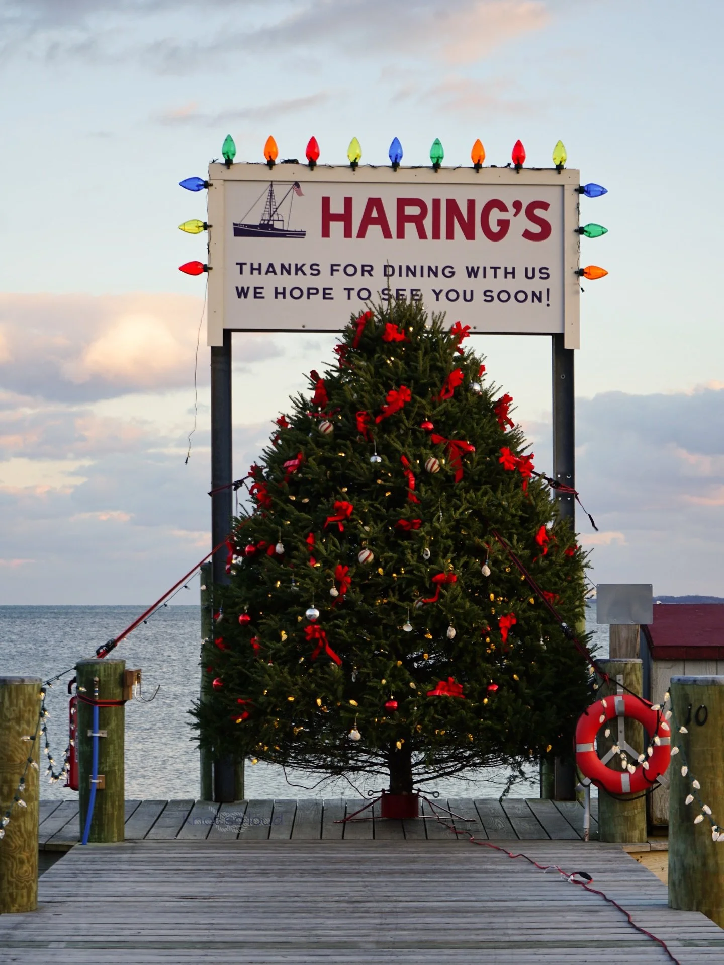 Fa la la la la 🎁  @haringsnoank tree is ready for tonight&rsquo;s tree lighting party!🎄