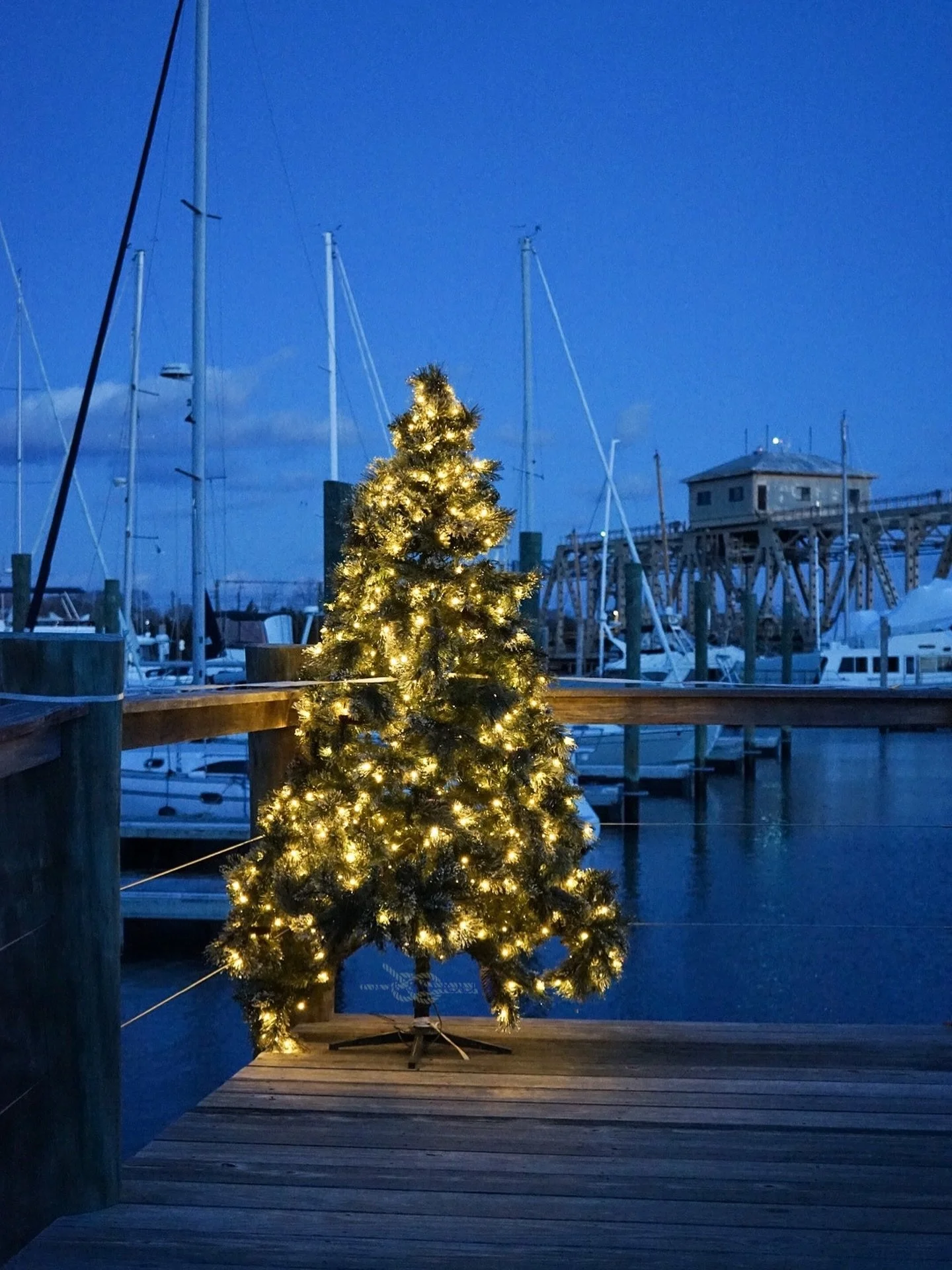 A calmer kind of Christmas by the water. 🎄🩵⚓️