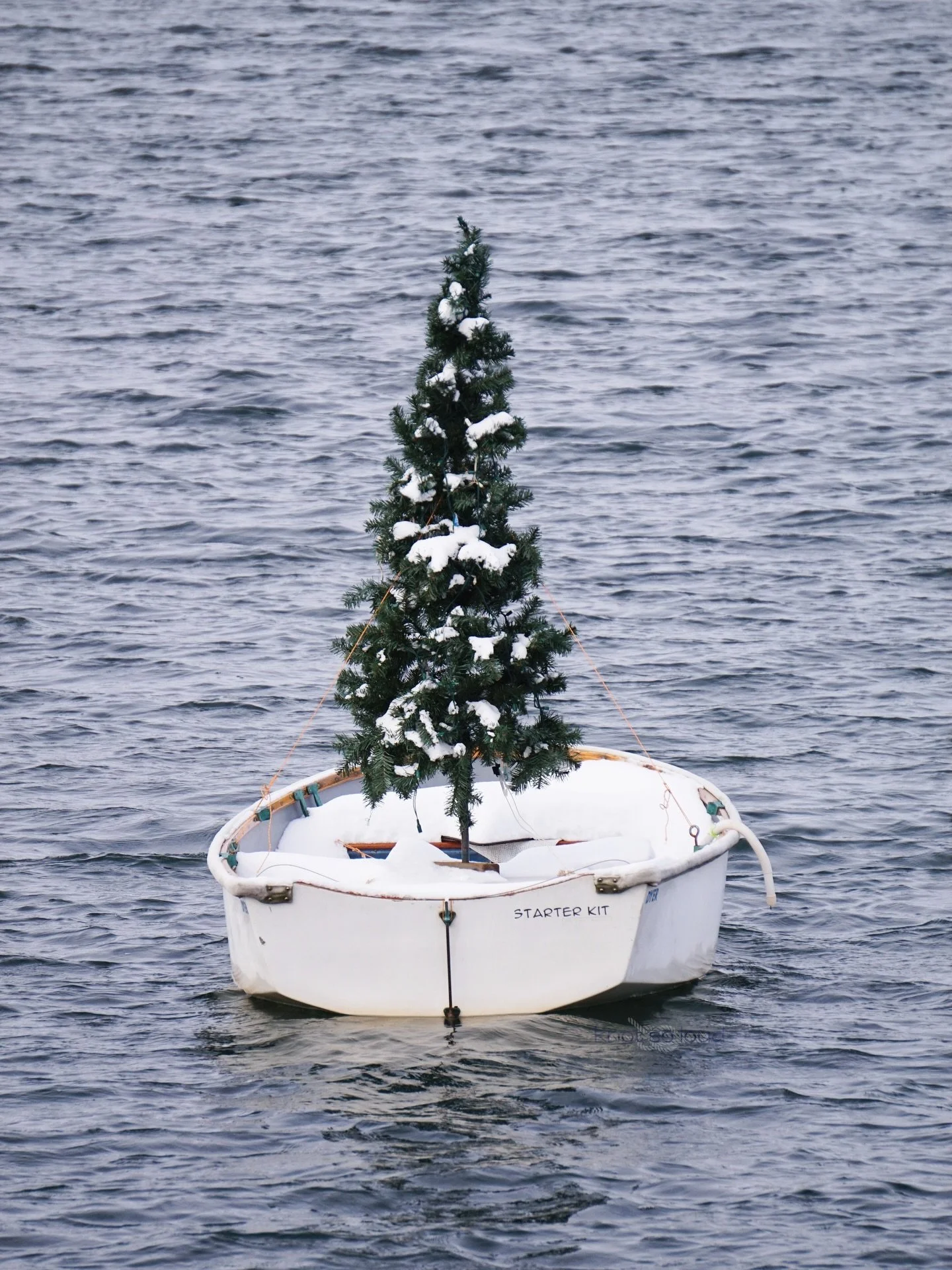 Shore was cold around Groton Snow Point ☃️❄️