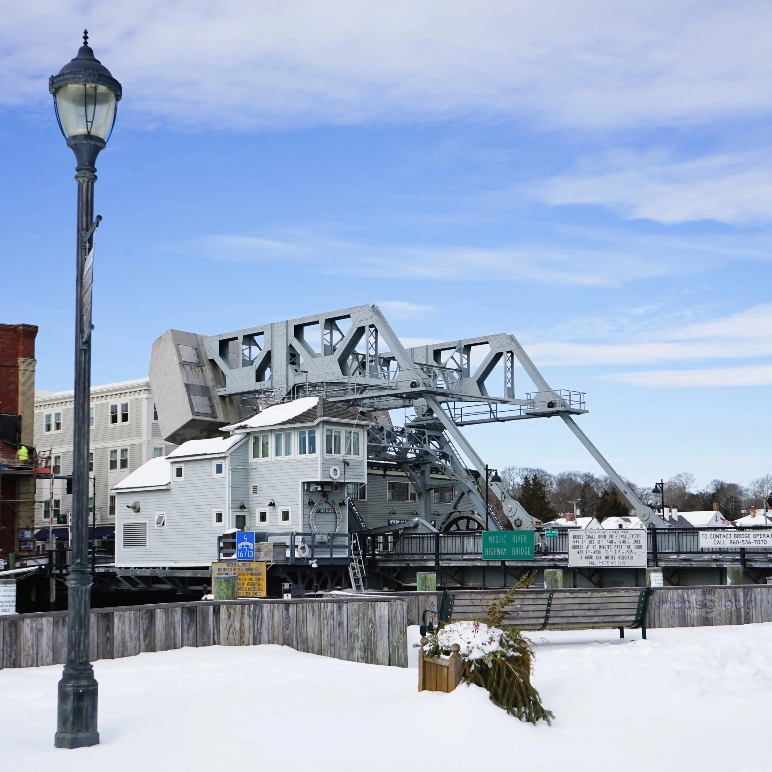 Winter Storm Fern in Mystic, CT