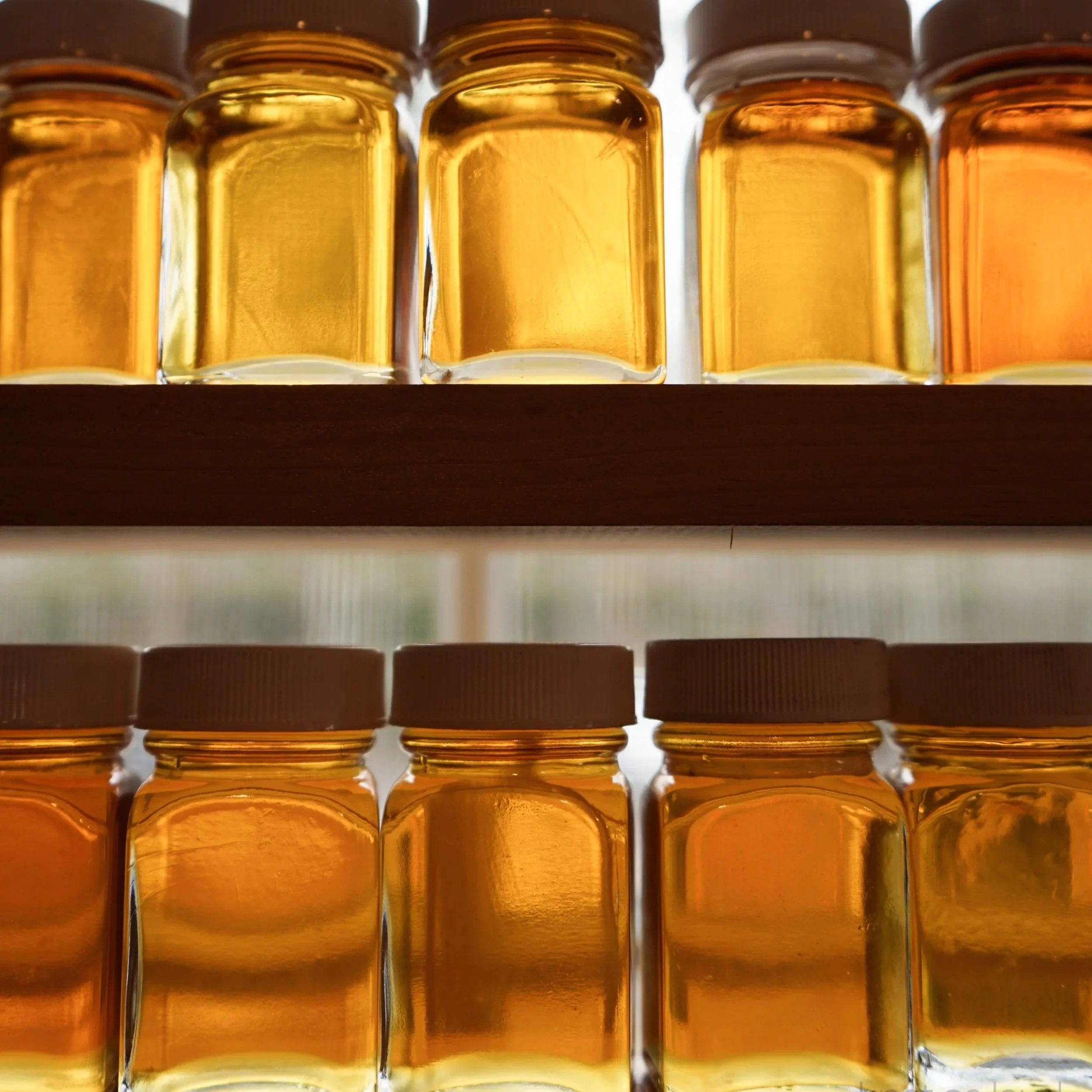 New Hampshire Maple Weekend