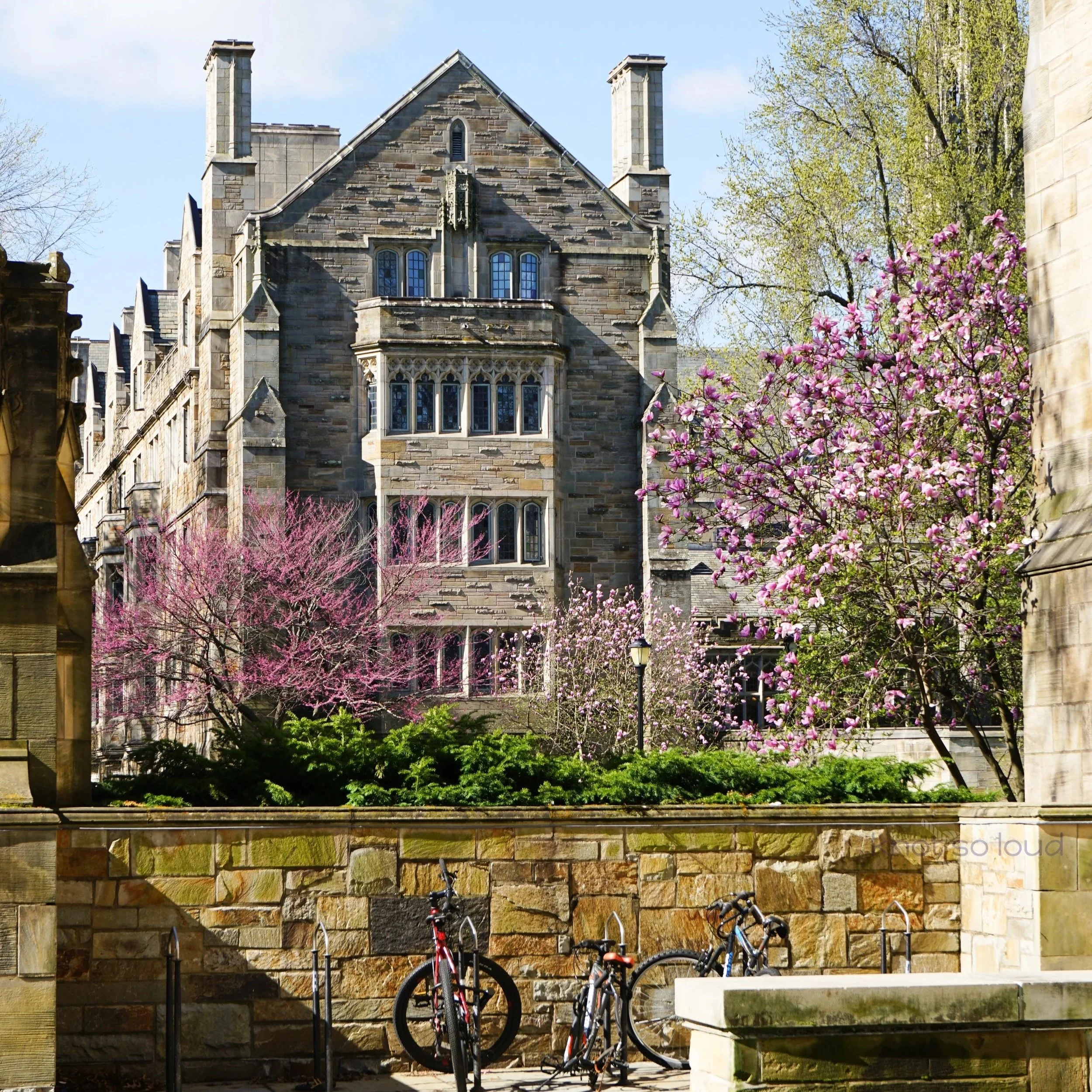 Spring Term at Yale
