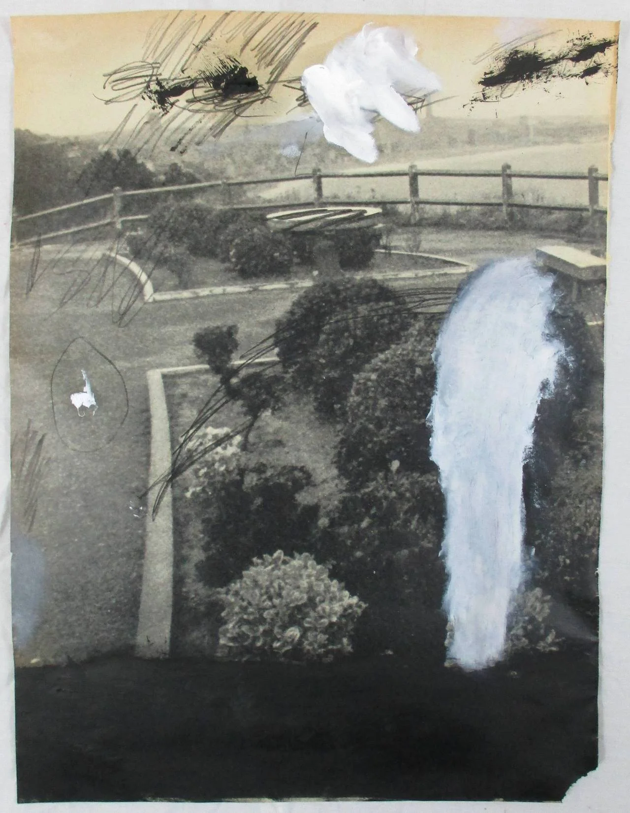 untitled (garden)