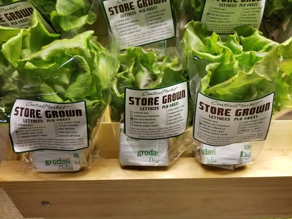 Growtainer-1.jpg
