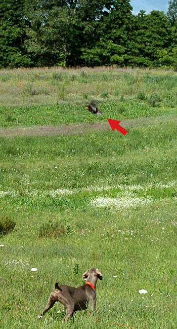 072609_03.jpg