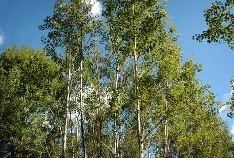 090610_01.jpg