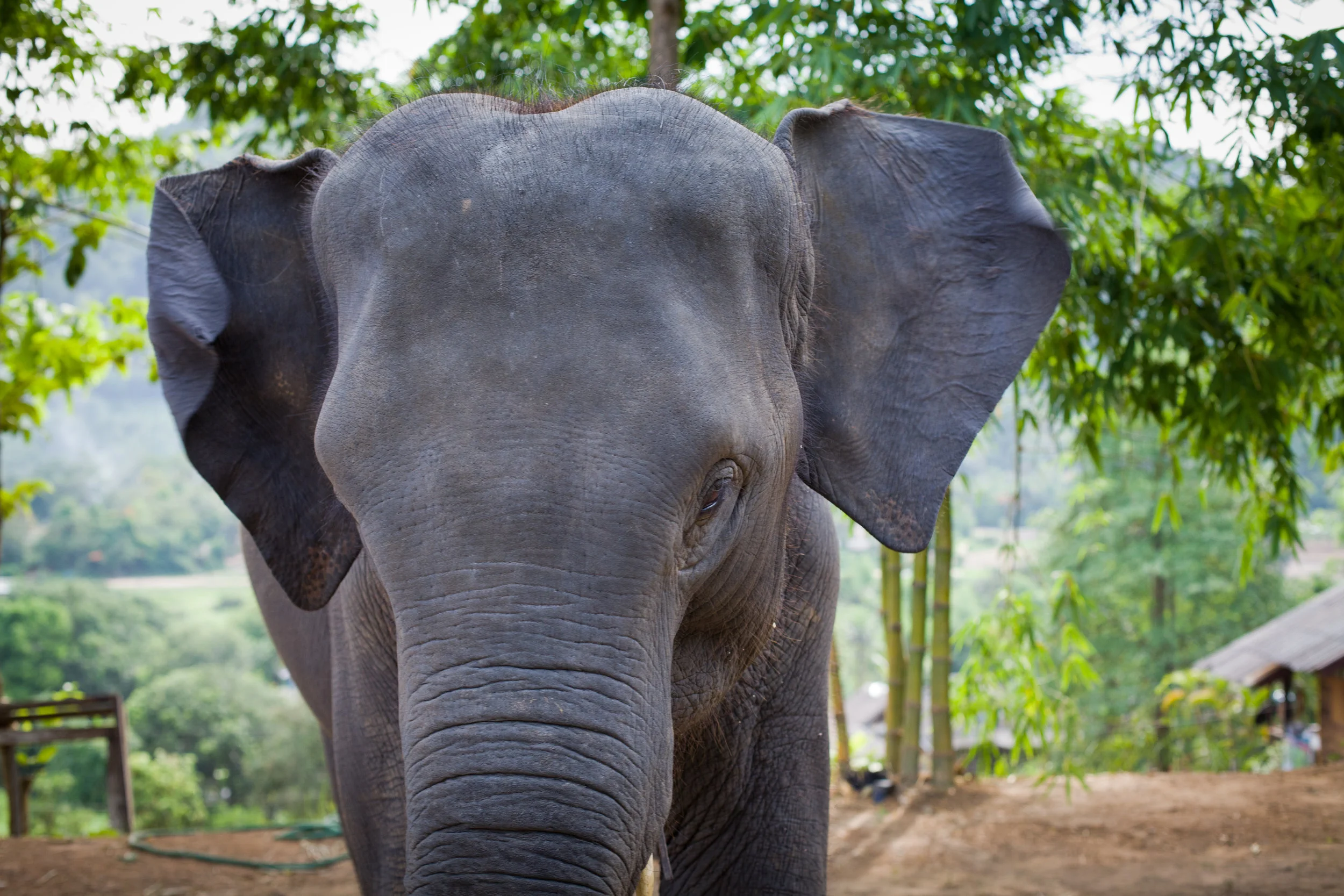 thailand-47.jpg