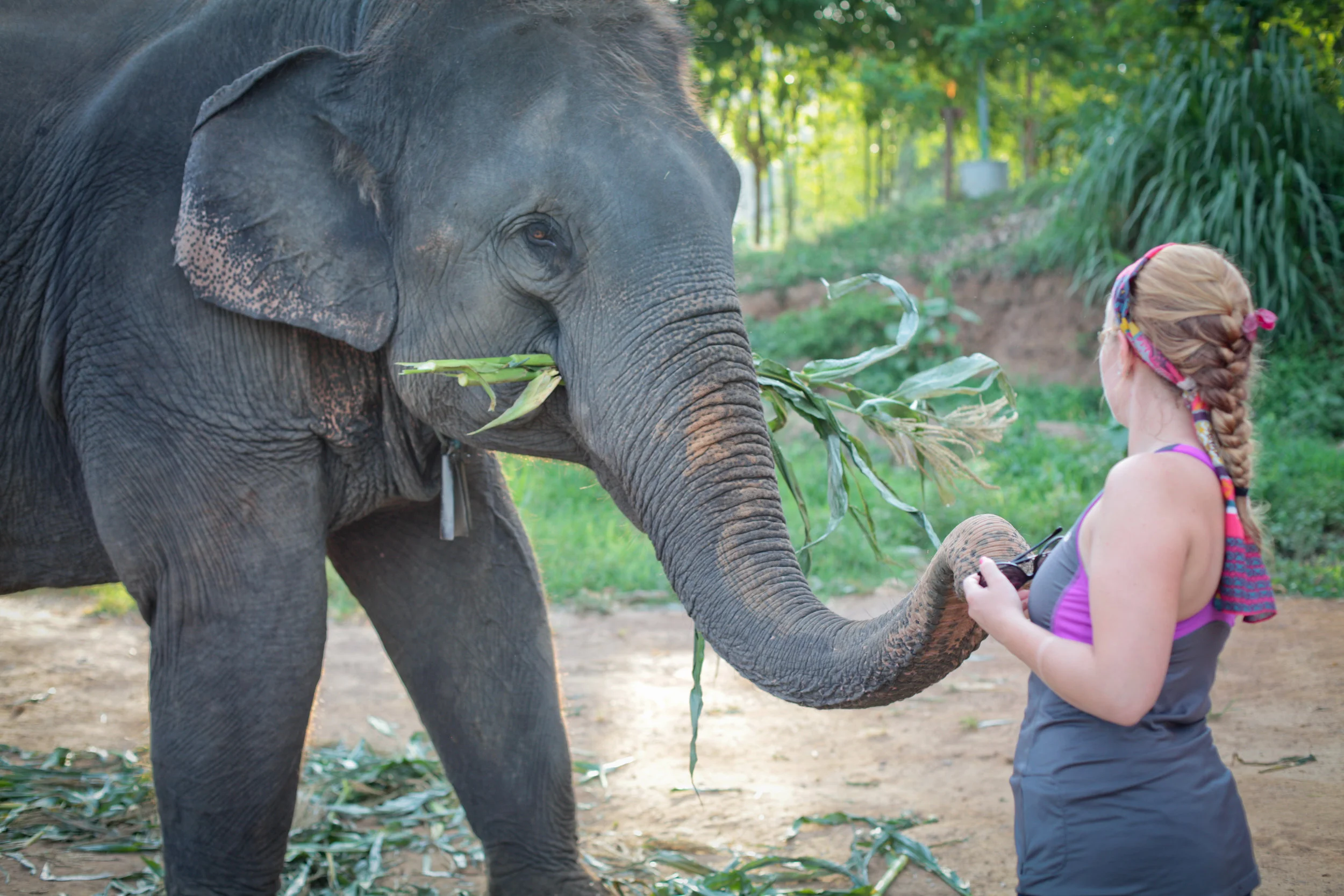 thailand-50.jpg