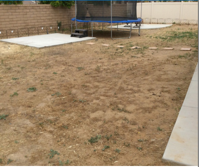 STEP 01: REMOVE GRASS