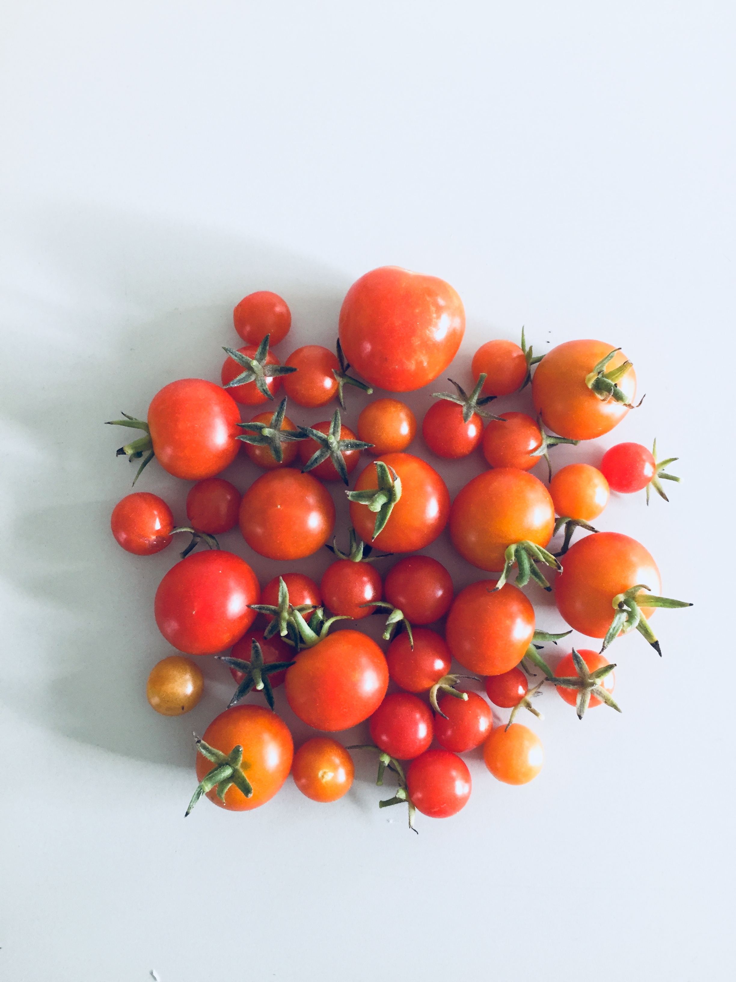 Off The Vine-- Garden Picked Tomatoes