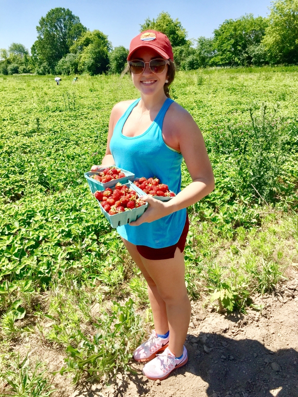 Off The Vine-- Strawberry Picking