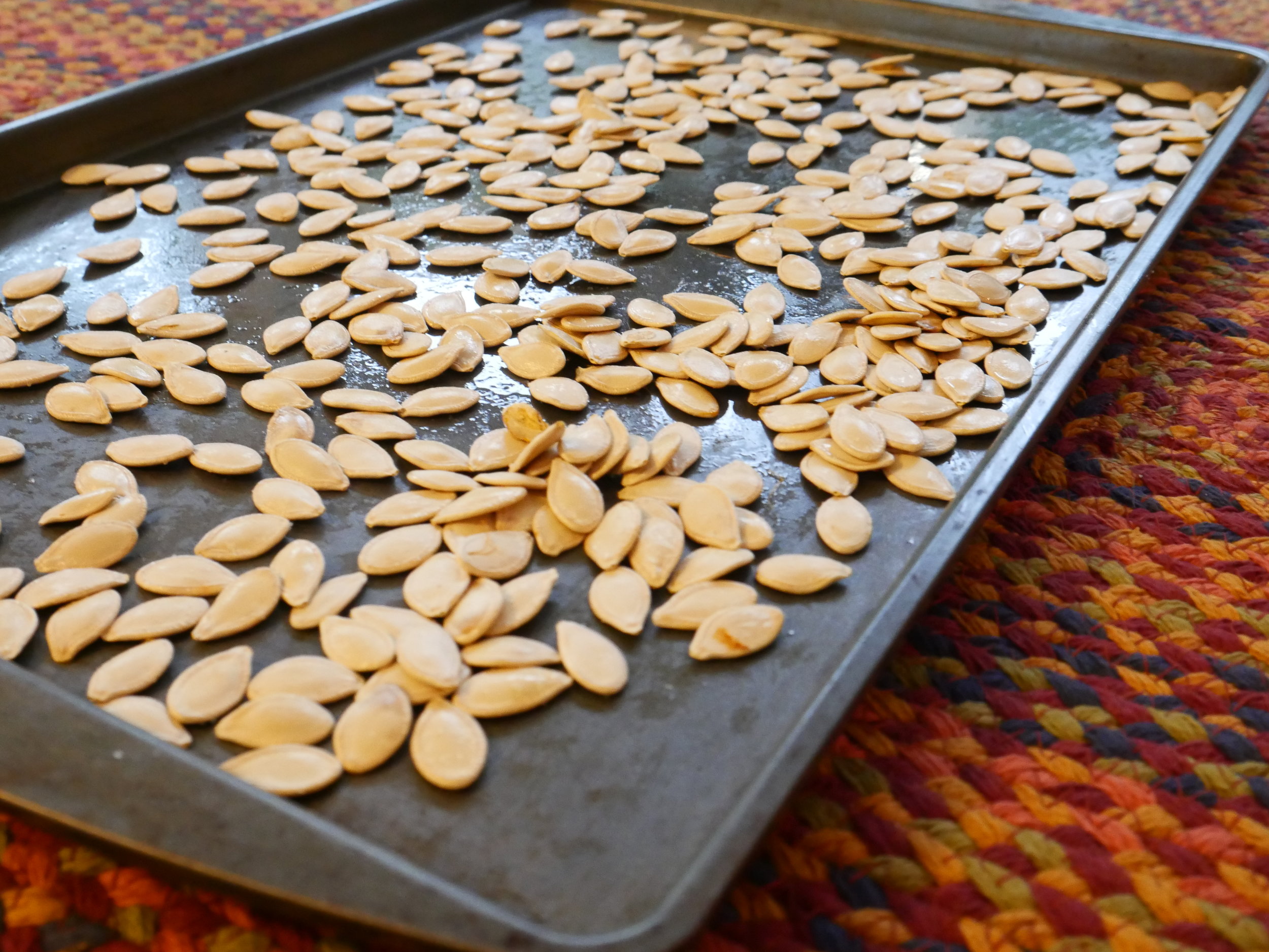 Roasted Pumpkin Seeds
