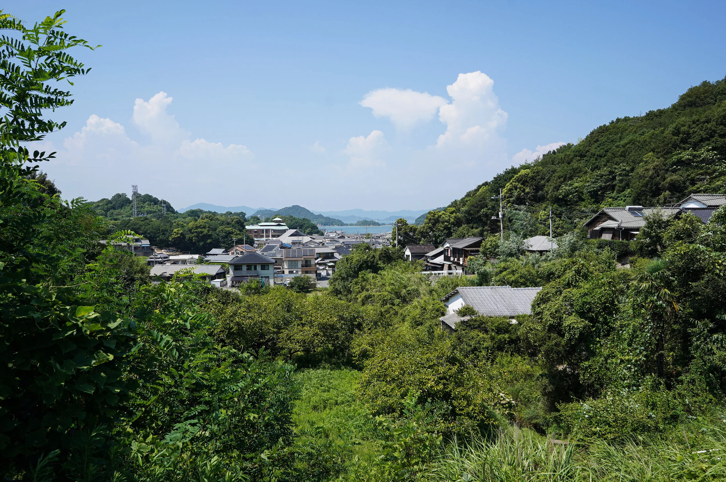 DSC00557.jpg
