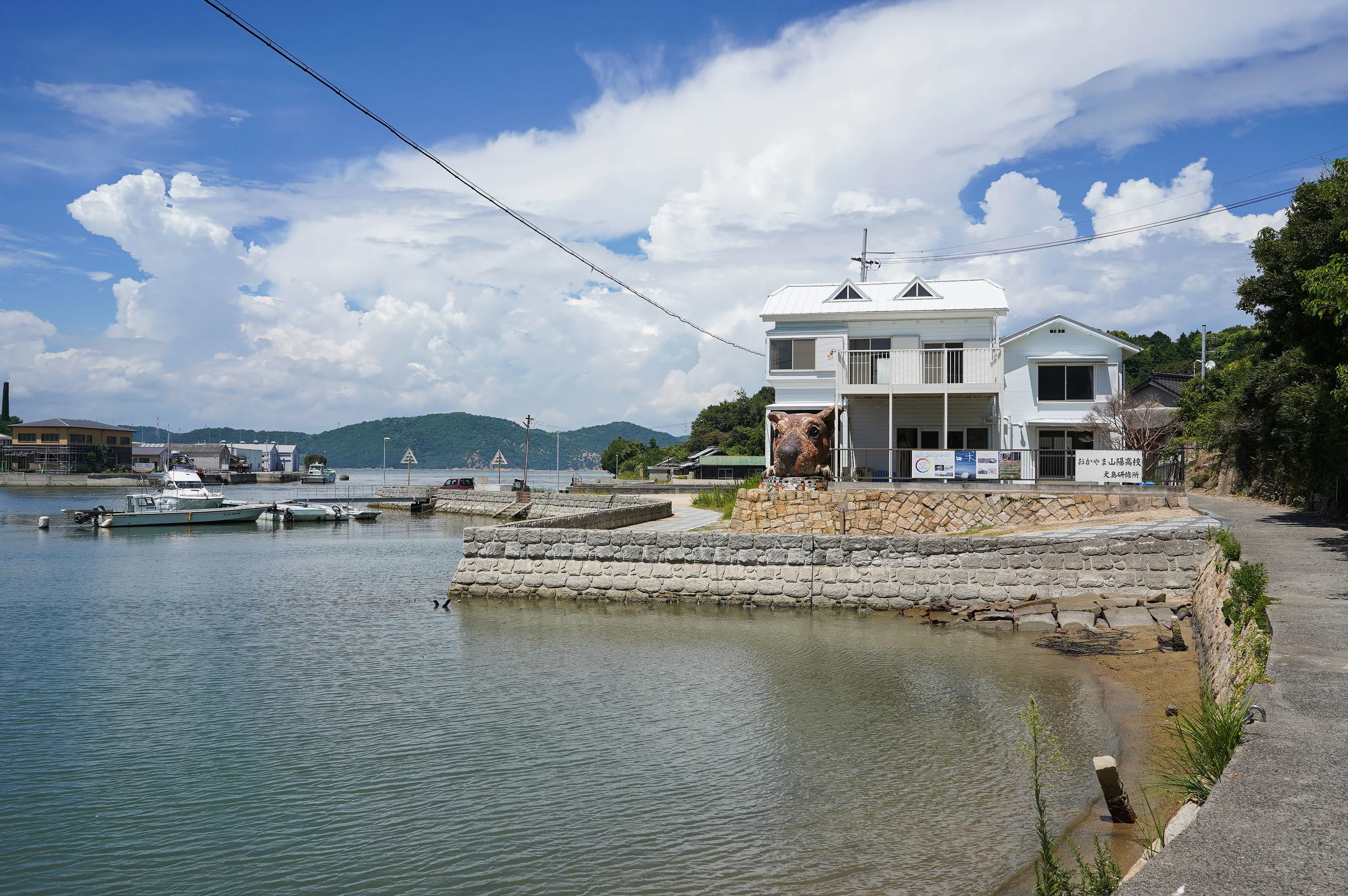 Inujima’s many fascinating (if strange) moments include a massive, tile-mosaic dog head sticking out of a house. Photo by the author.