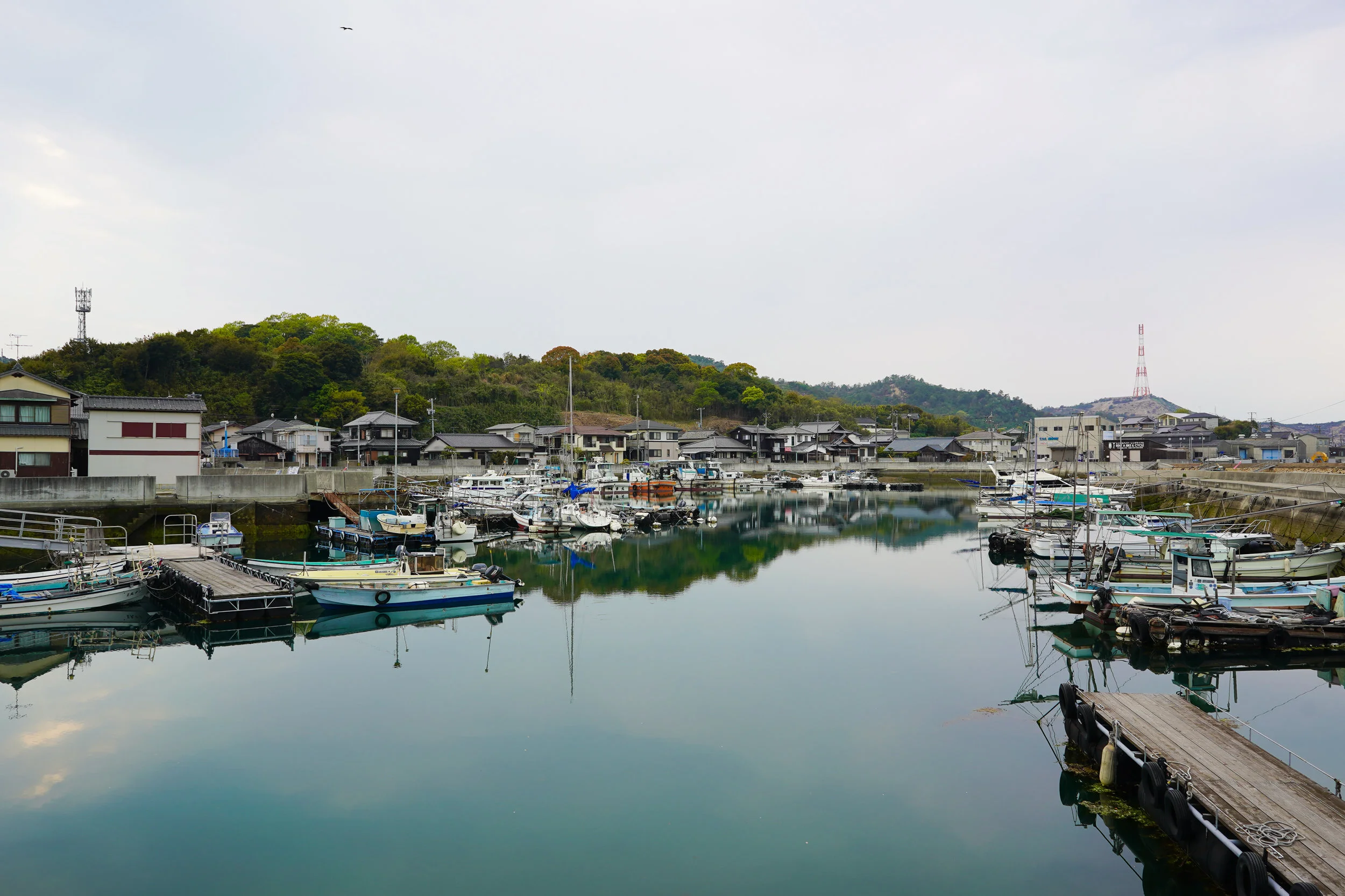 DSC03485-Edit.jpg