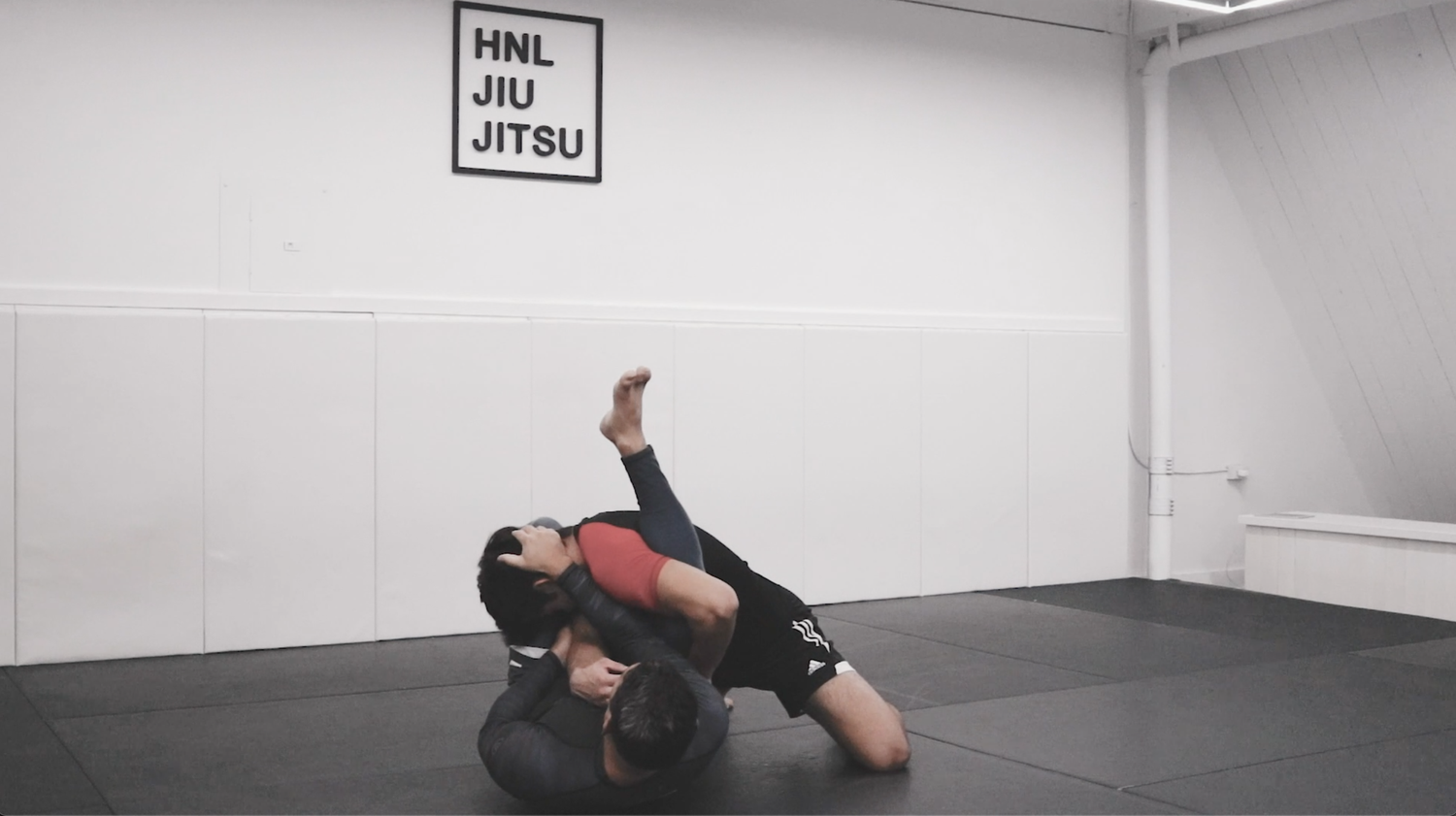 TECHNIQUES — HNL JIU JITSU ACADEMY is a Relson Gracie